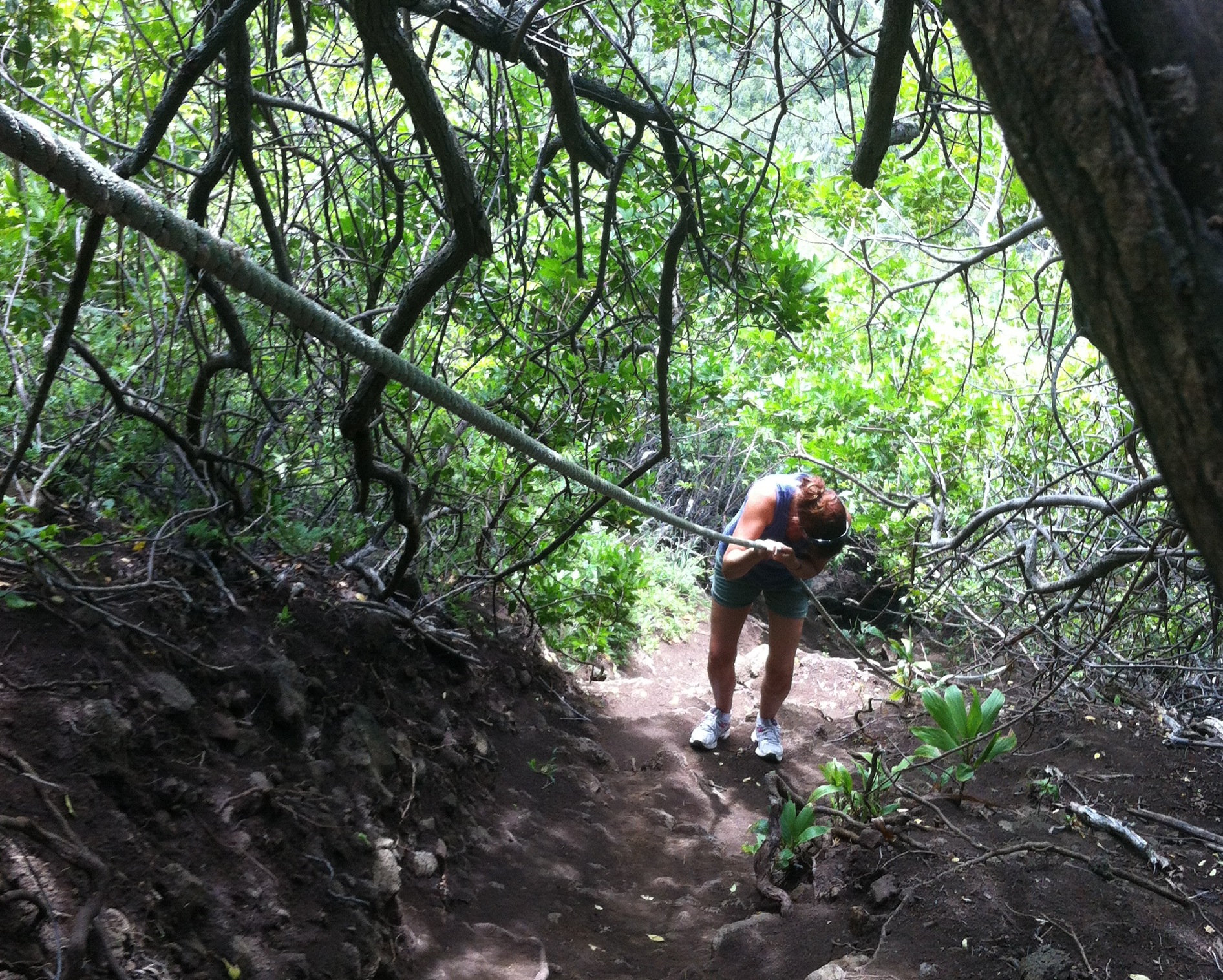 Awini Trail along the Kohala Coast