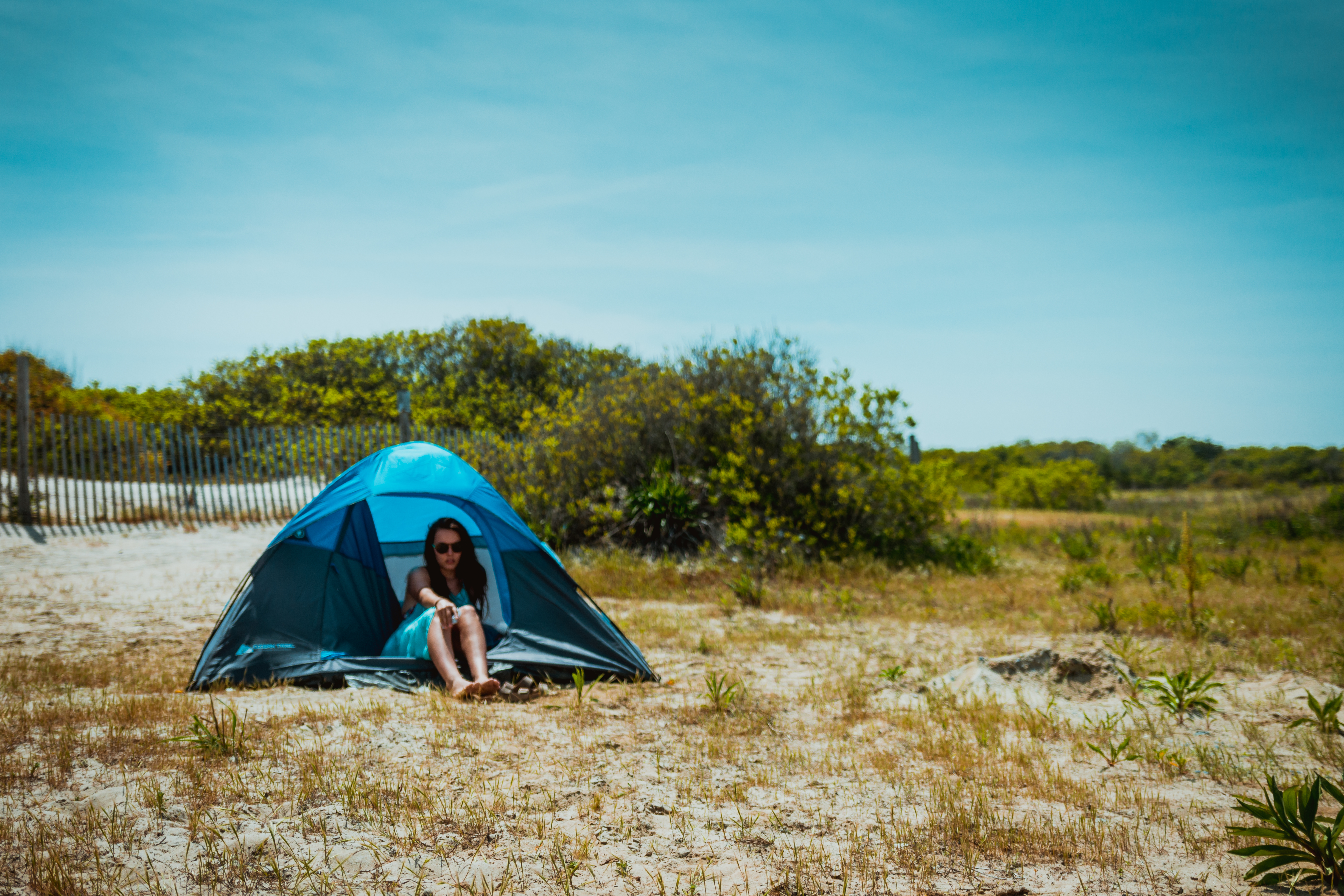 Assateague Island