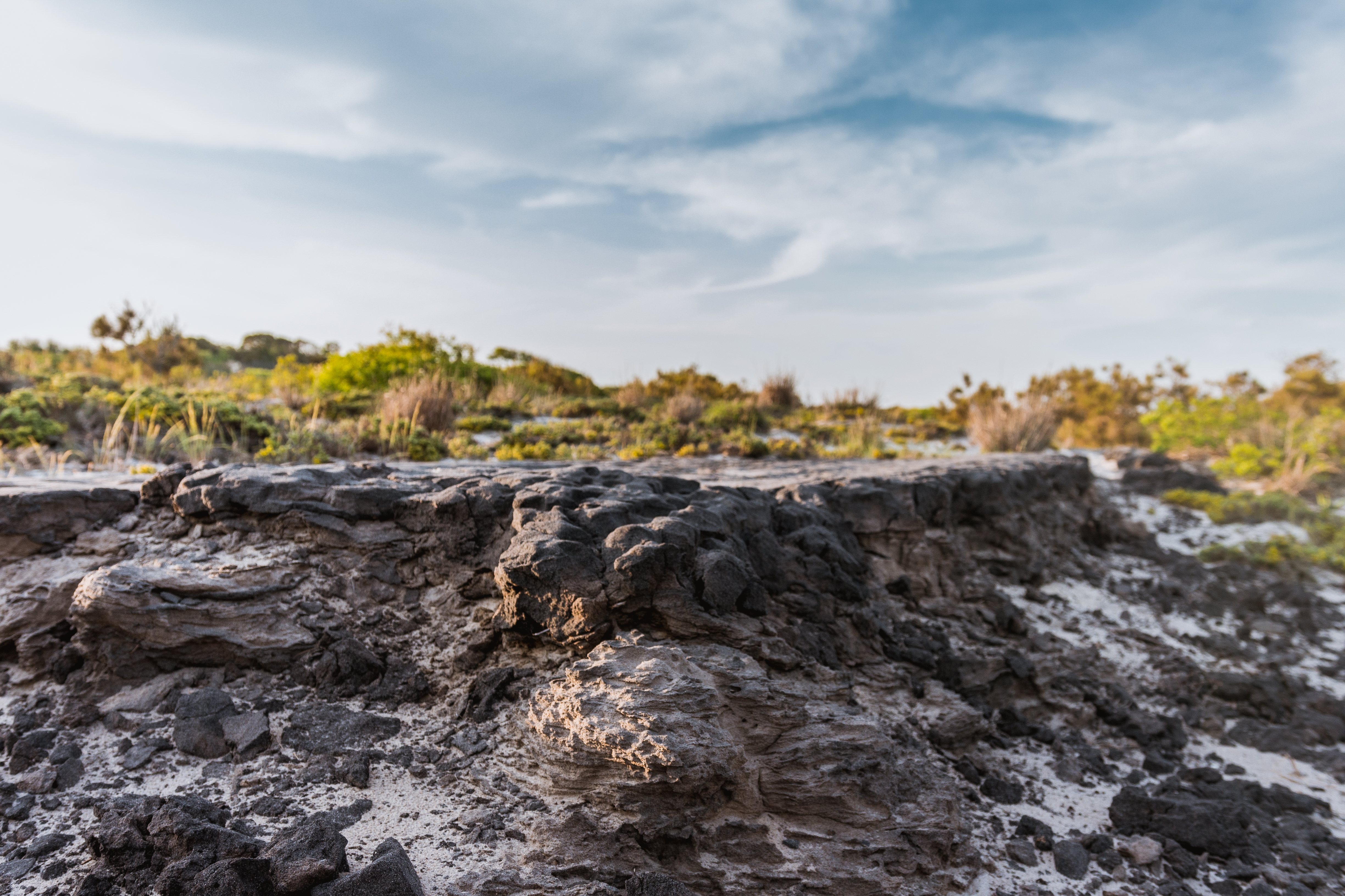 Assateague Island