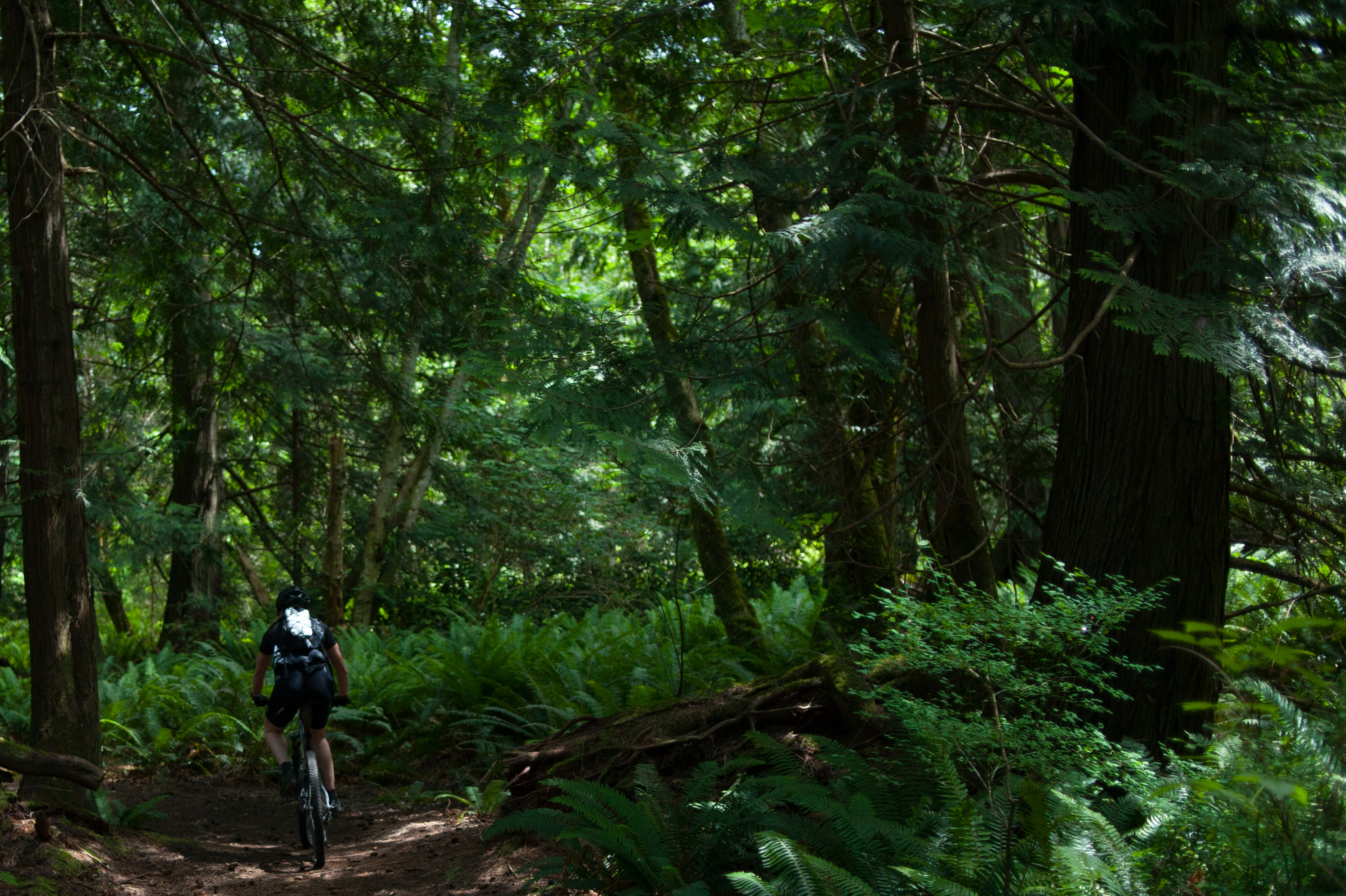 Mountain Biking Hornby Island