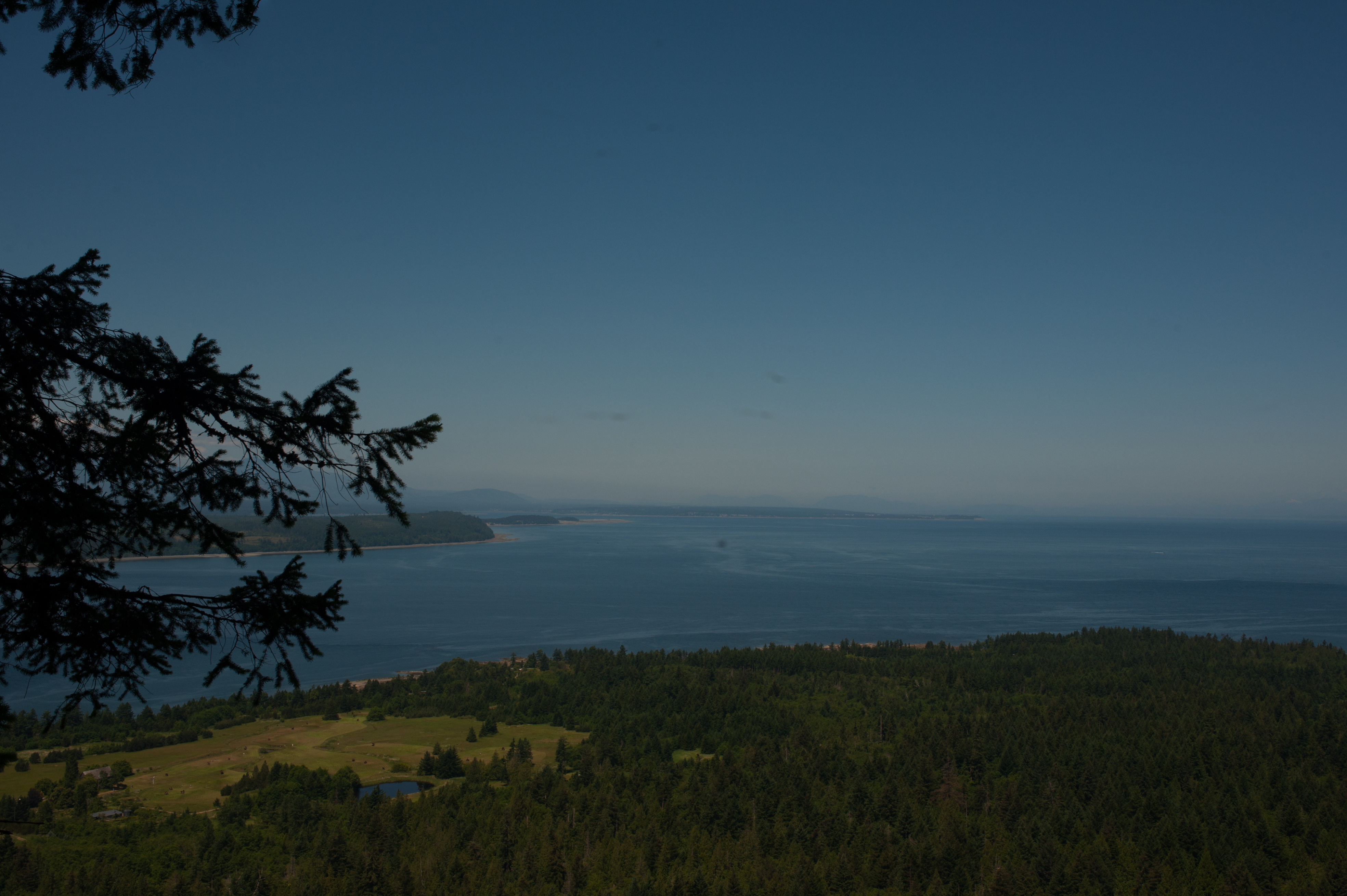 Mountain Biking Hornby Island