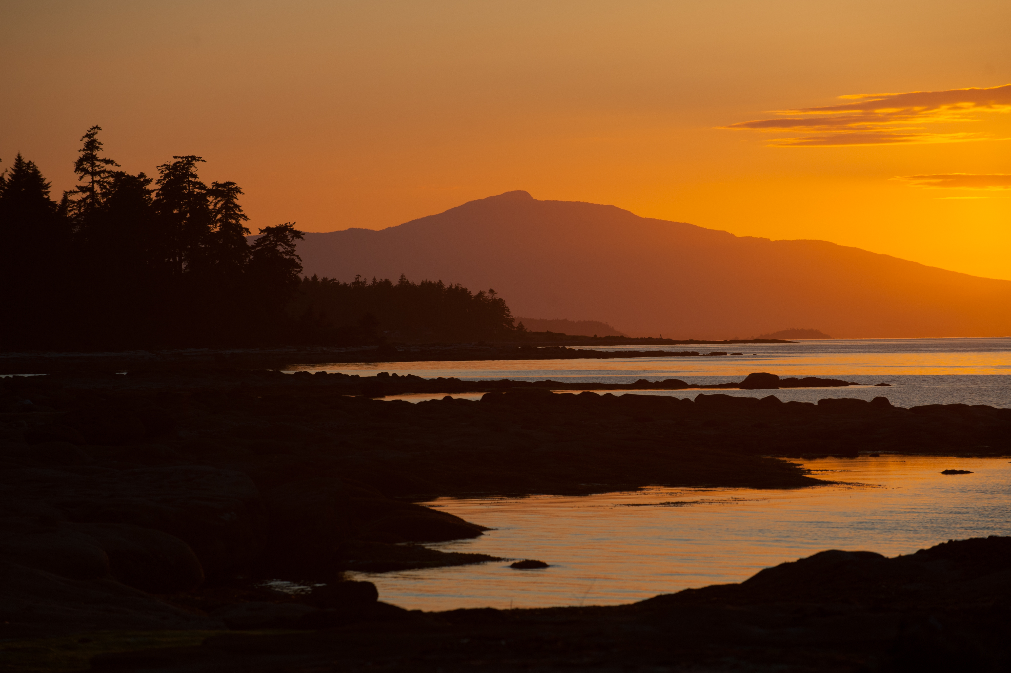 Mountain Biking Hornby Island