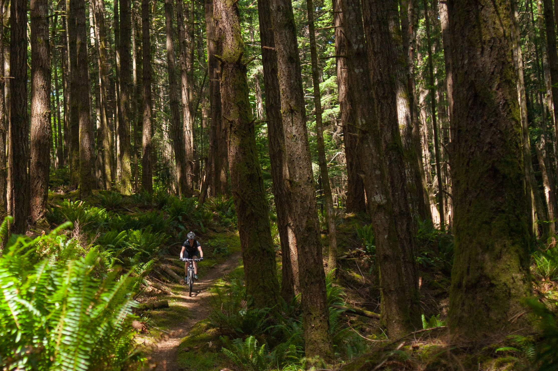 Mountain Biking Hornby Island