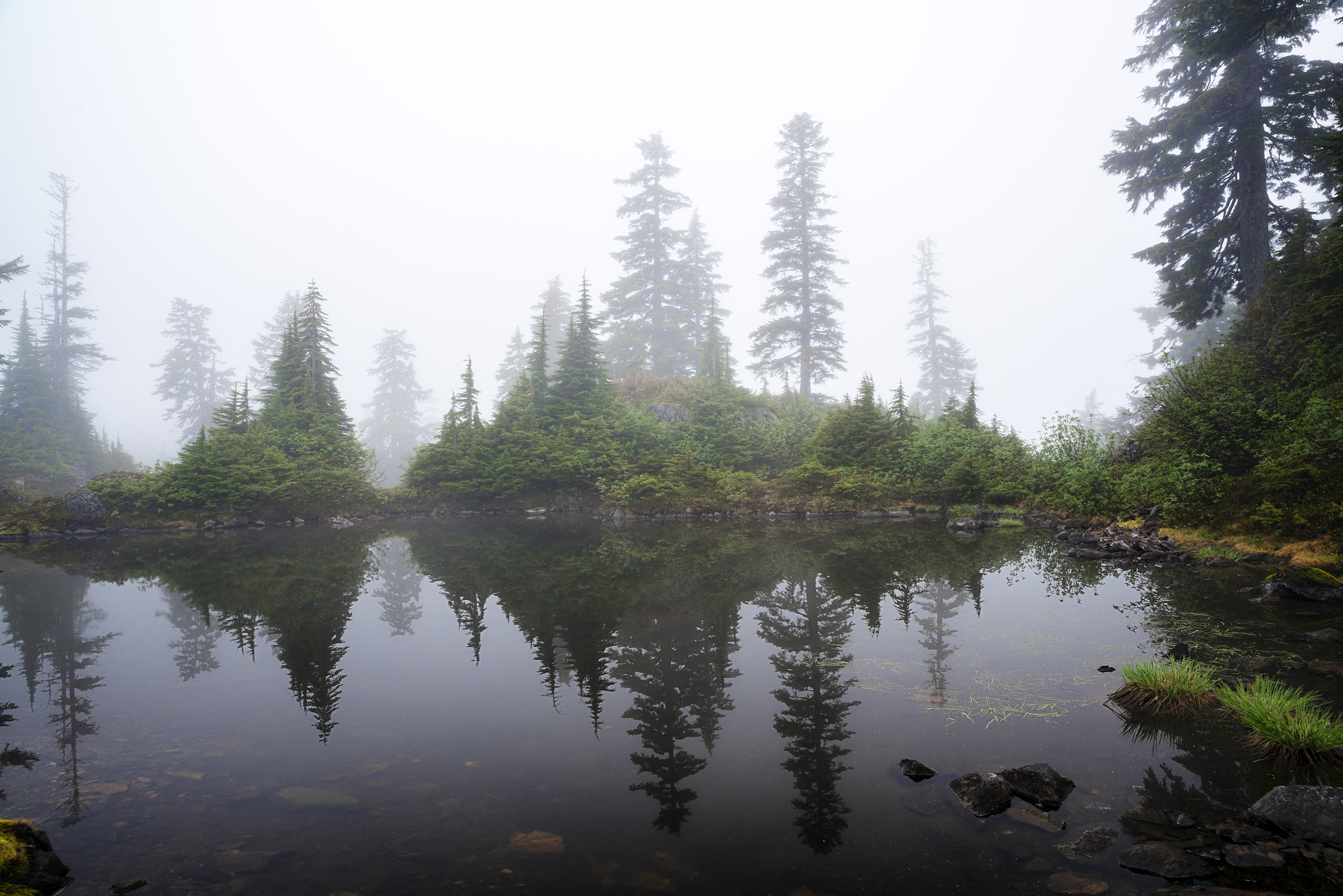 Cutthroat Lakes via Walt Bailey Trail