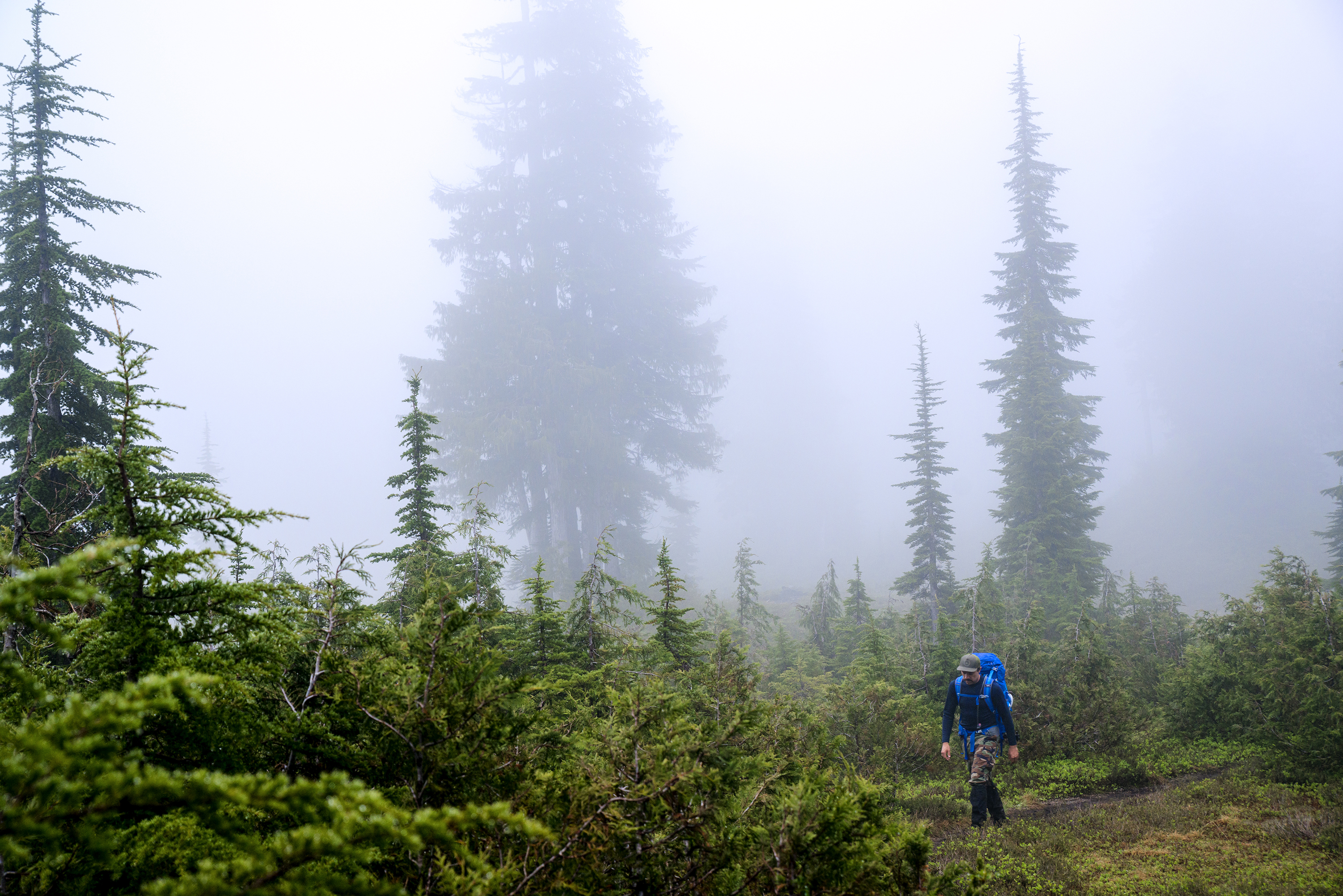 Cutthroat Lakes via Walt Bailey Trail