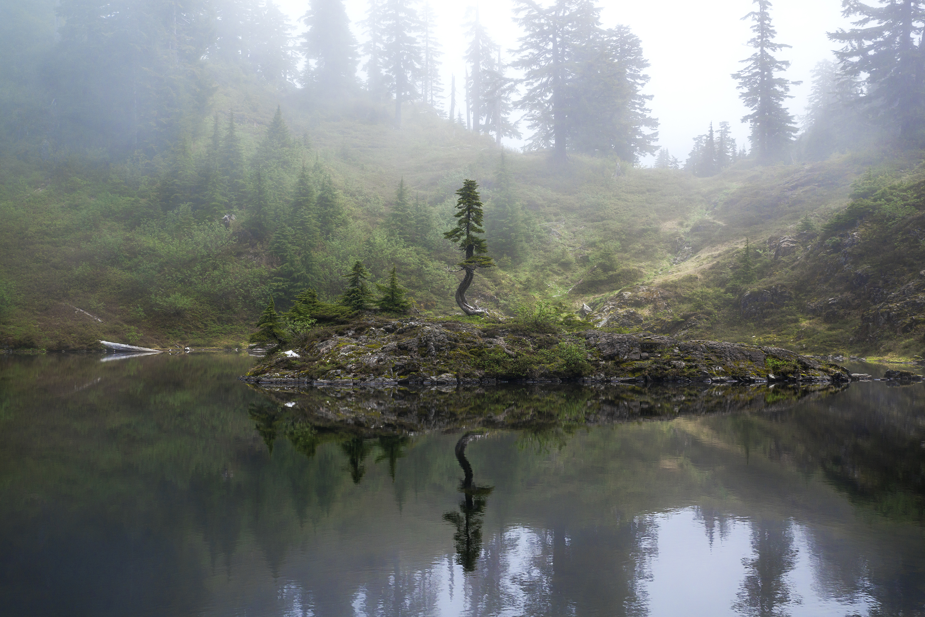 Cutthroat Lakes via Walt Bailey Trail