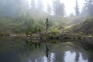 Cutthroat Lakes via Walt Bailey Trail