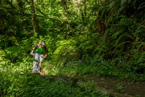 Mountain Bike at Purisima Creek 