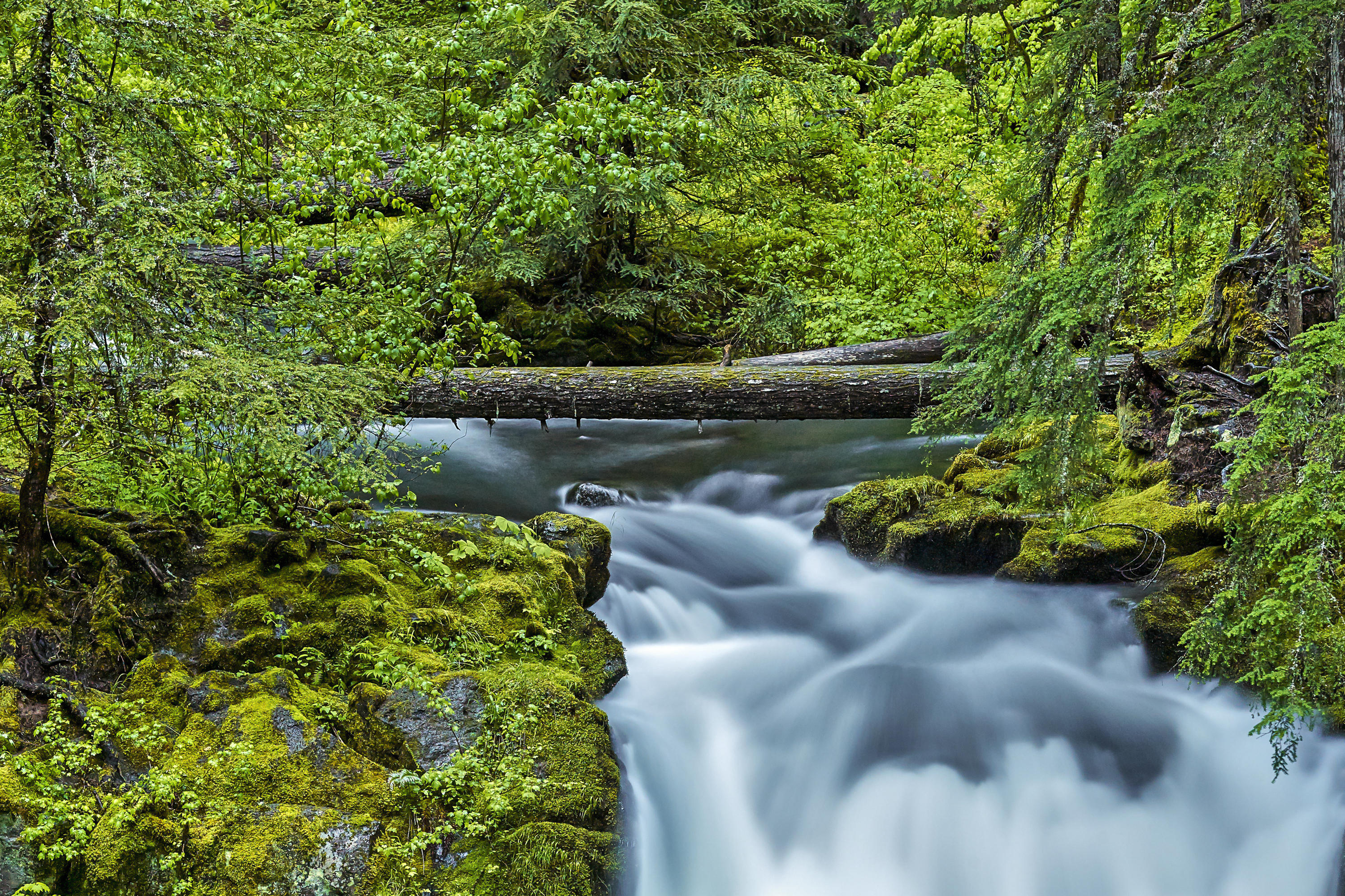 Explore Whitehorse Falls, Idleyld Park, Oregon