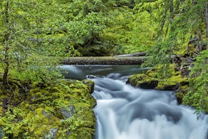 Explore Whitehorse Falls