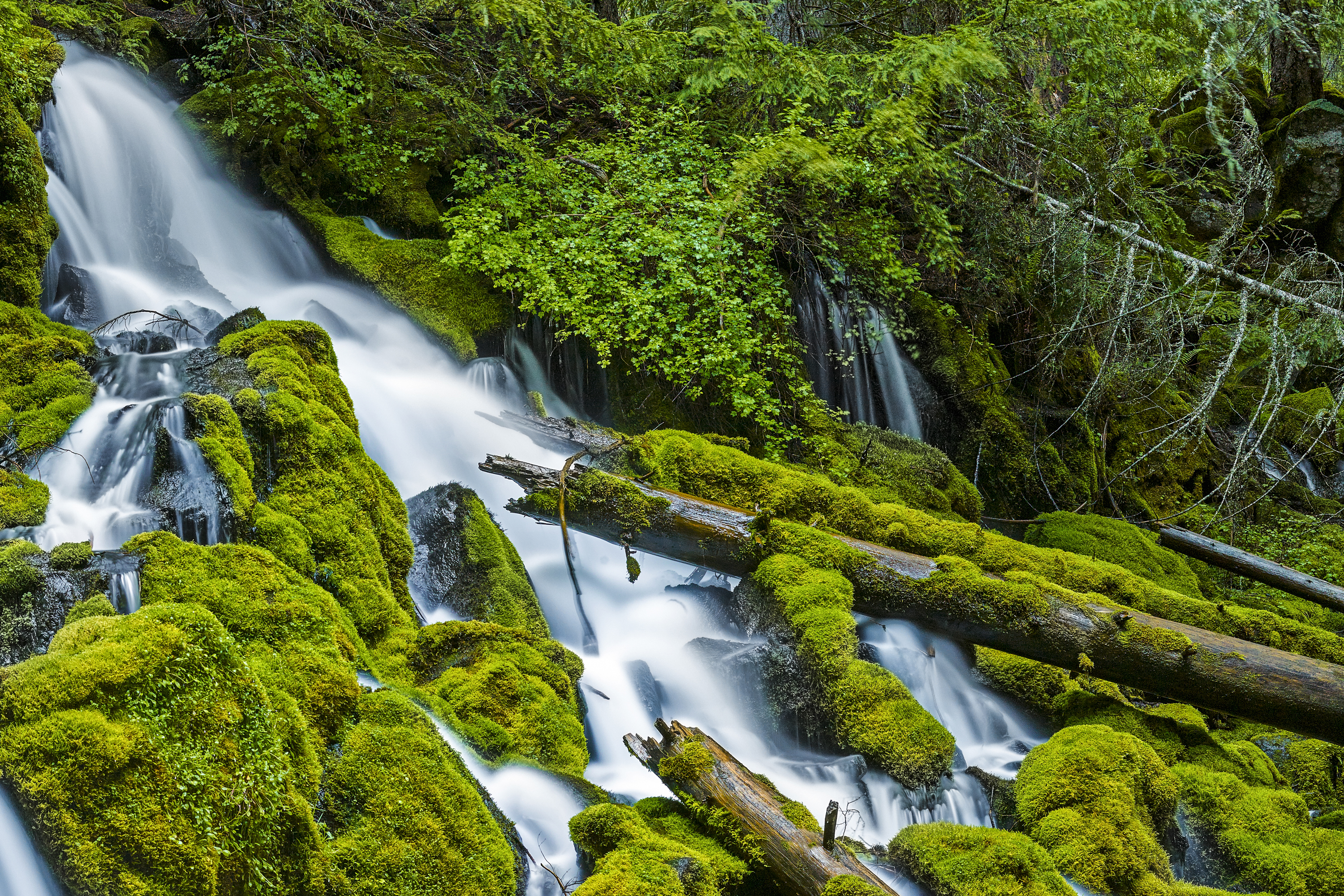 Clearwater Falls