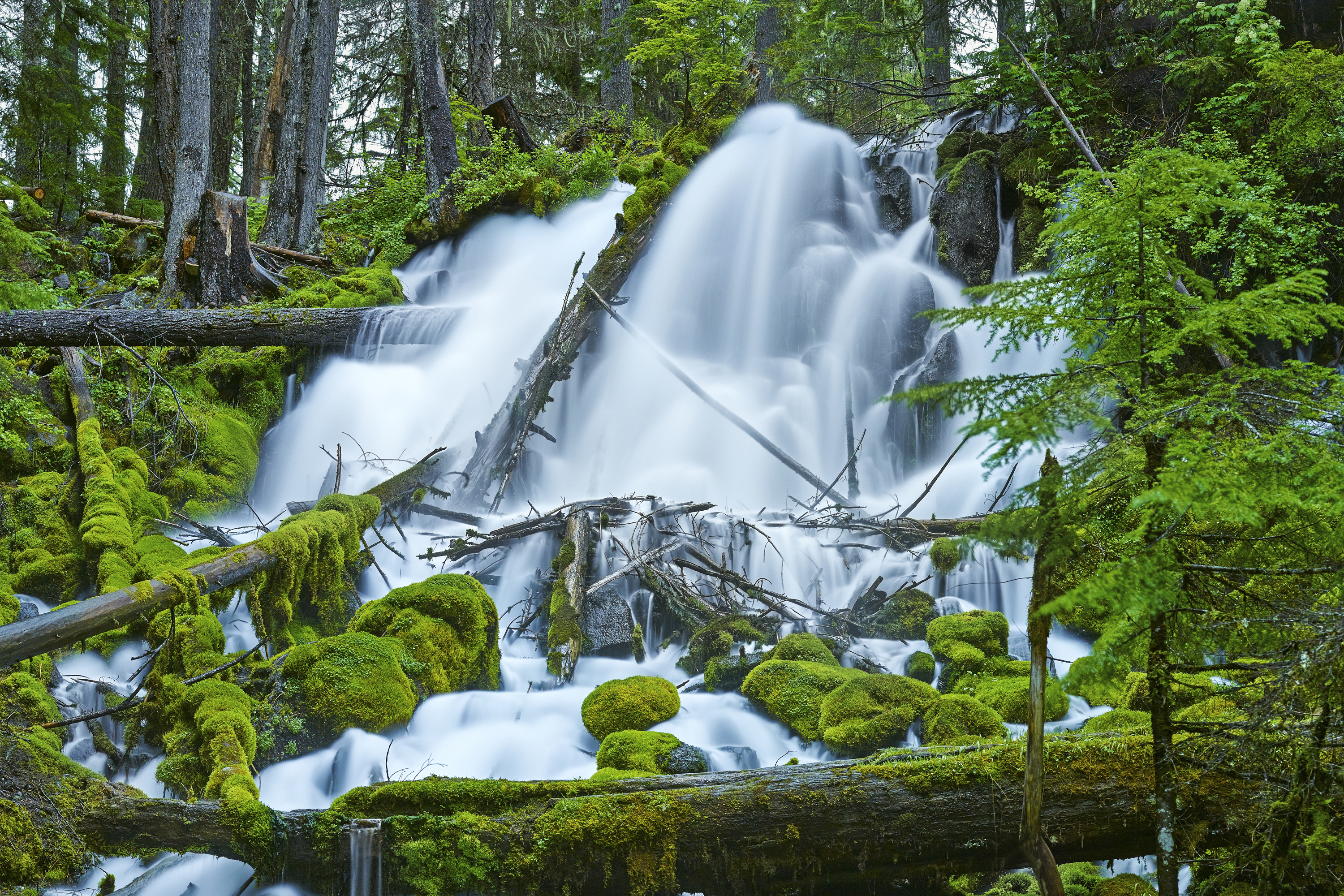 Clearwater Falls