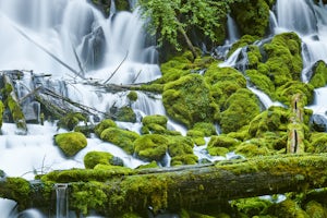 Hike to Clearwater Falls