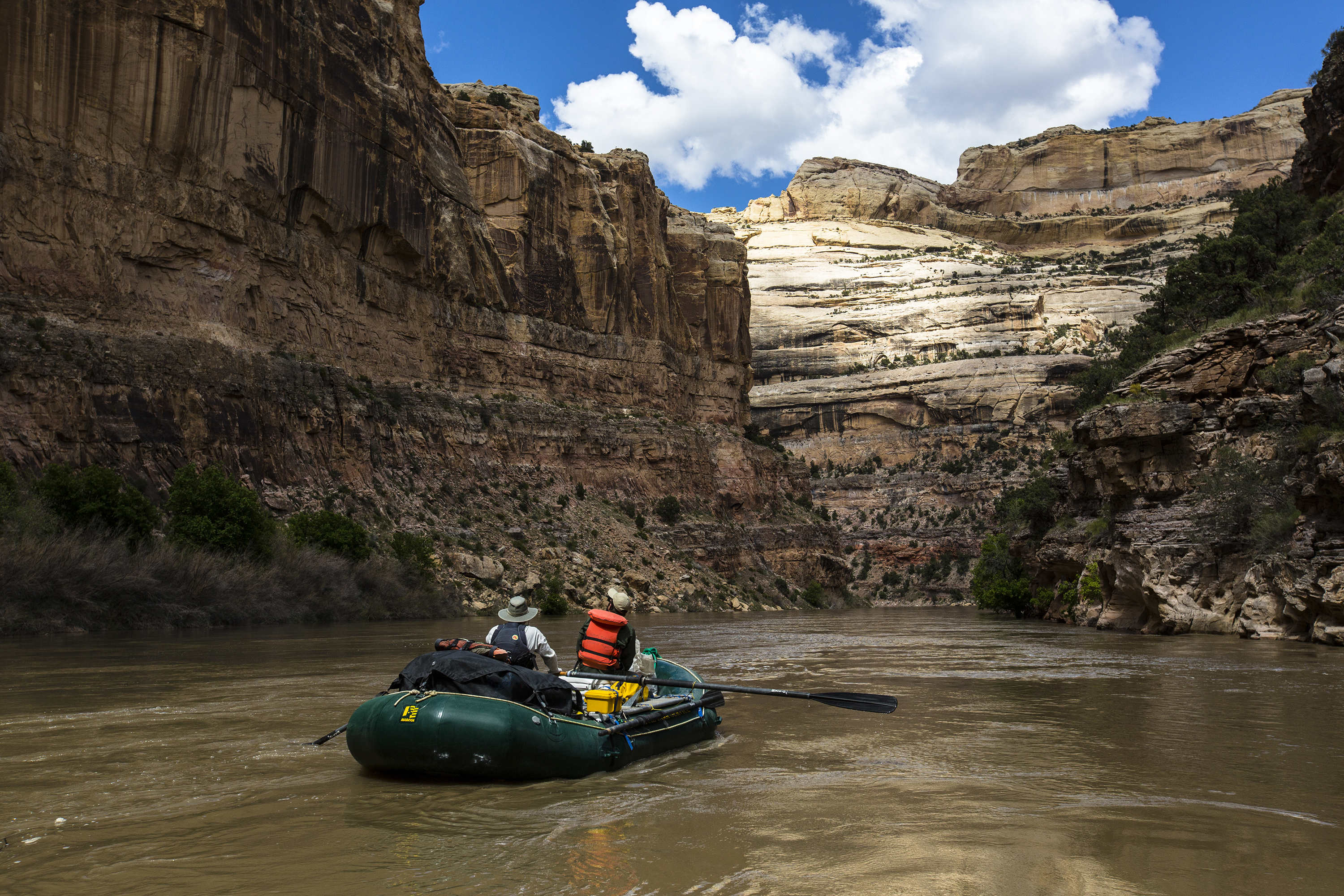 Float the Yampa River through Dinosaur National Monument