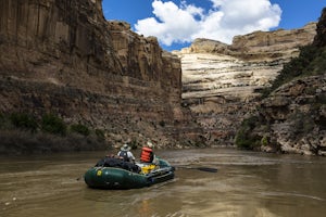 Float the Yampa River through Dinosaur National Monument