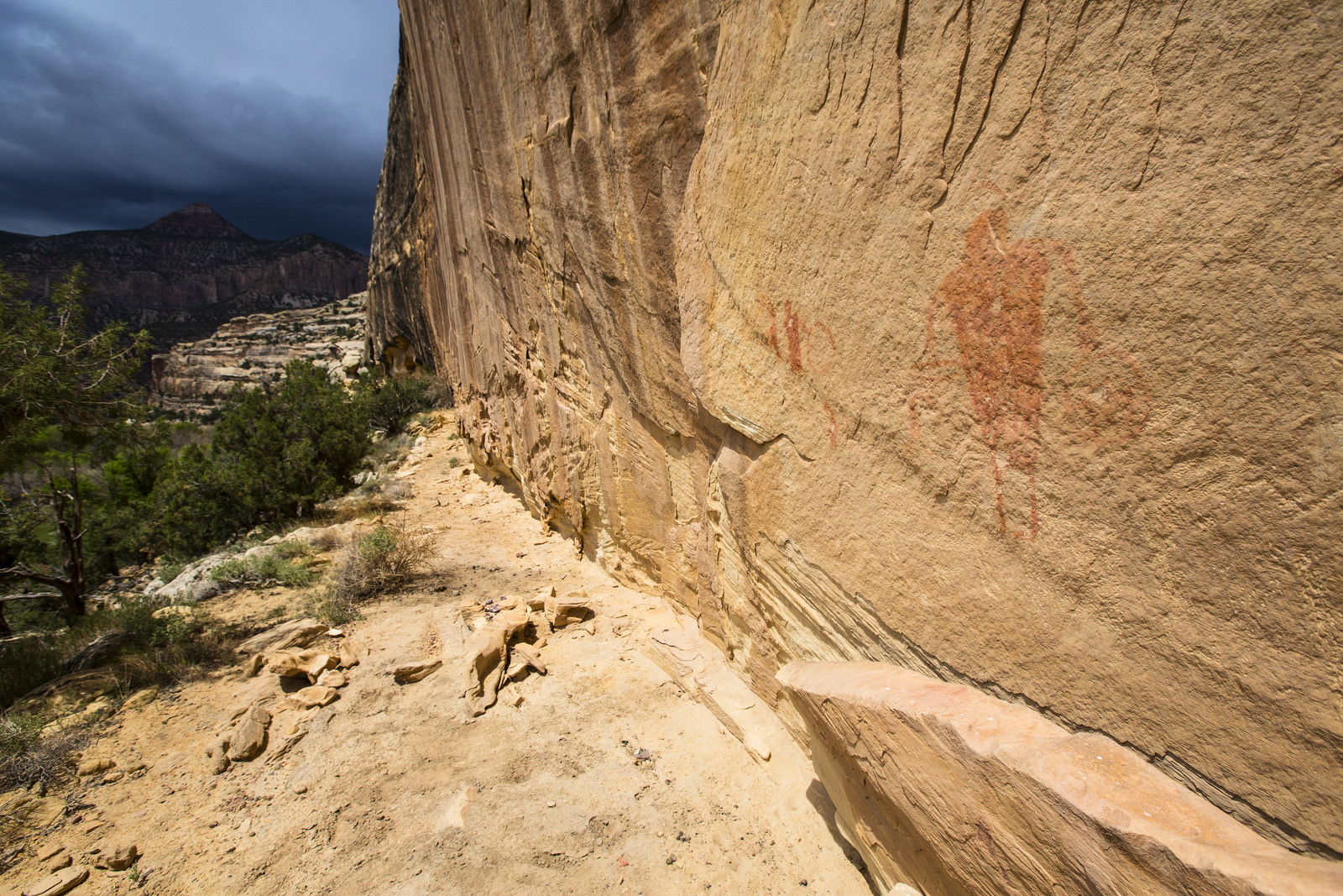 Float the Yampa River through Dinosaur National Monument