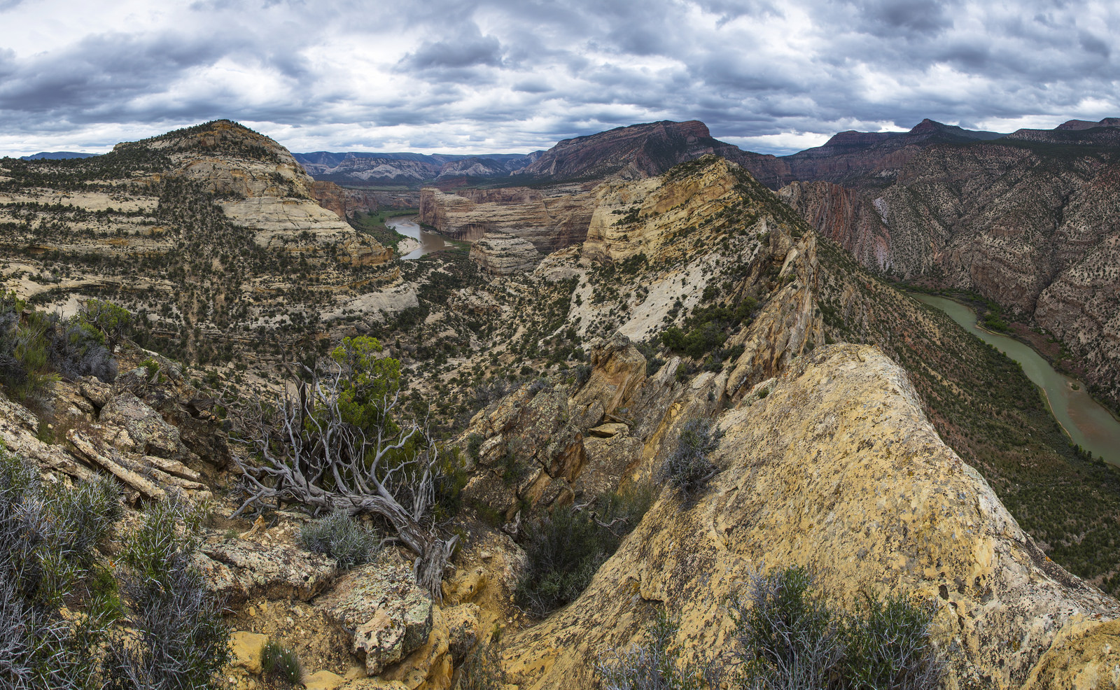 Float the Yampa River through Dinosaur National Monument