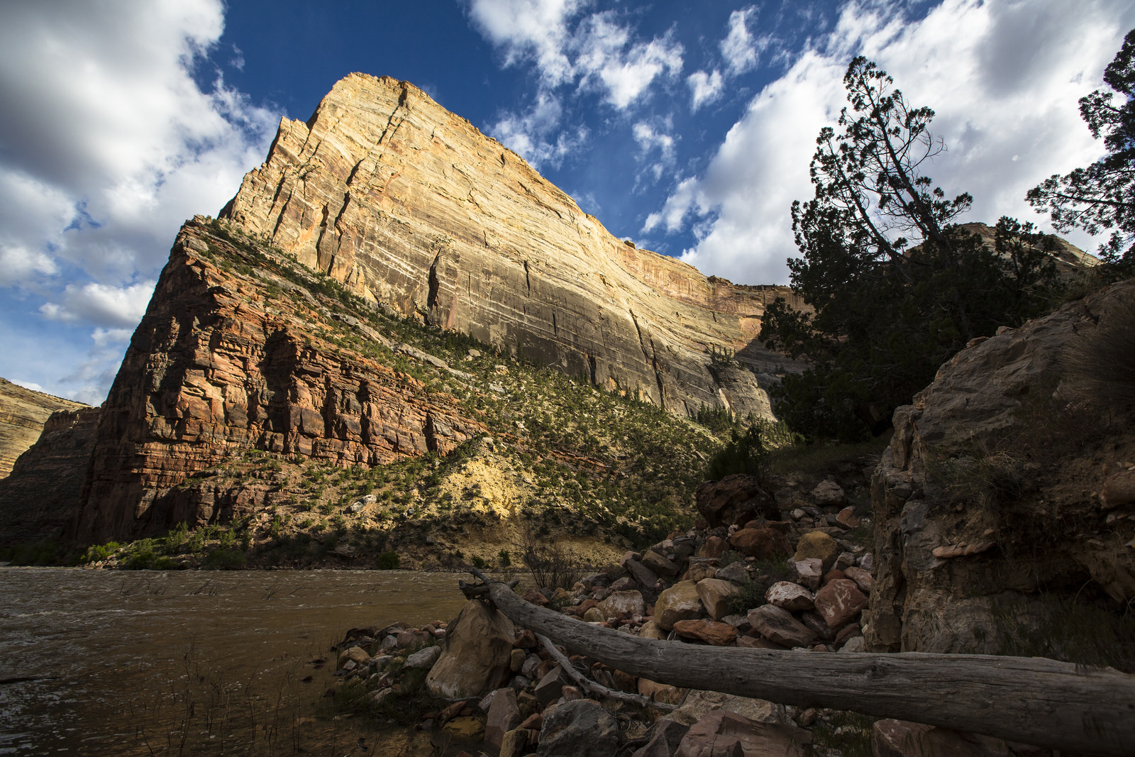 Float the Yampa River through Dinosaur National Monument
