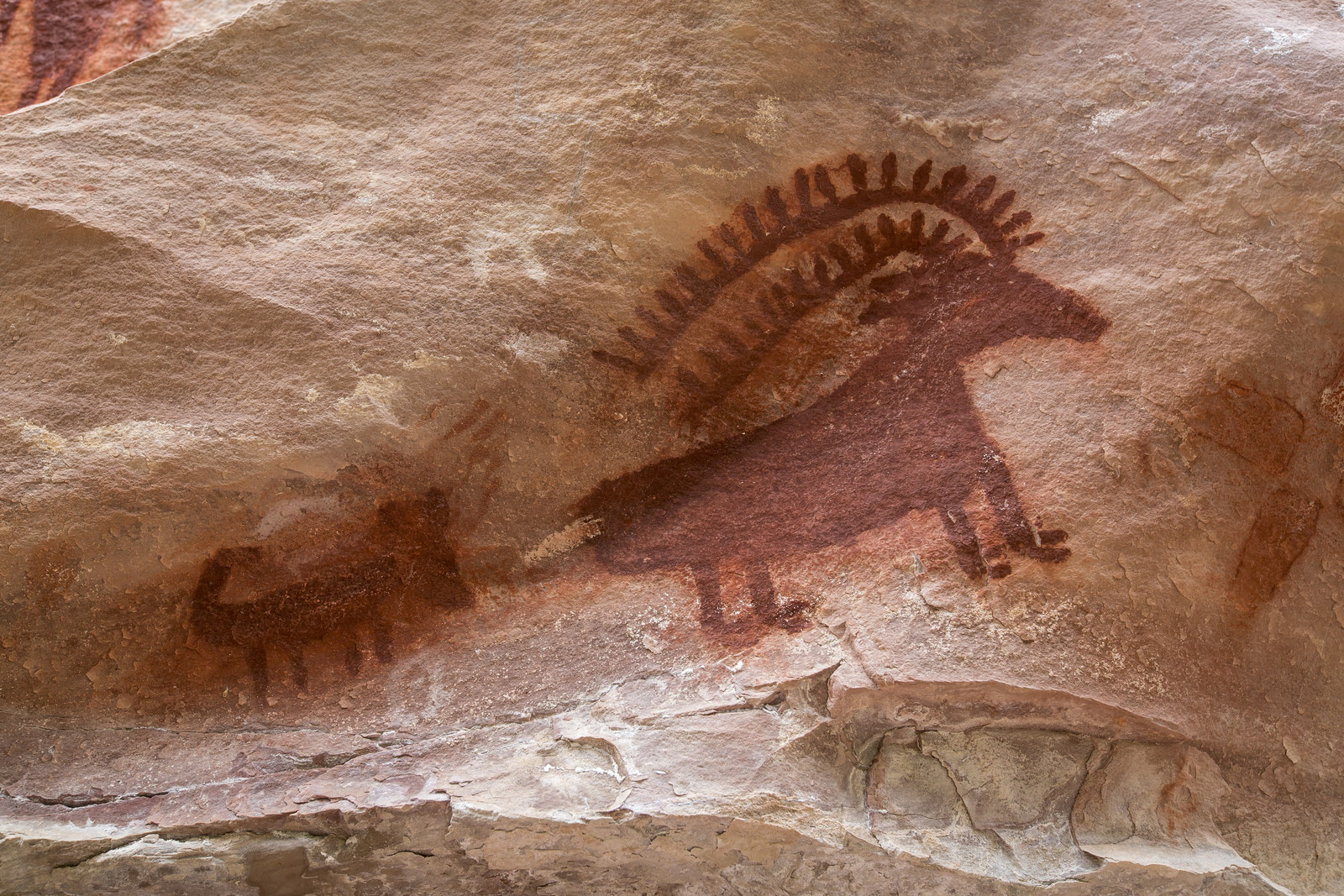 Float the Yampa River through Dinosaur National Monument