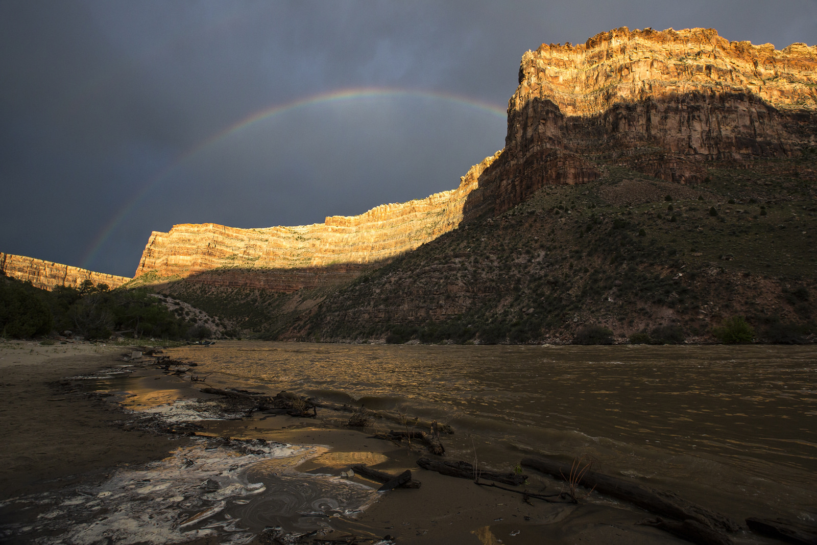 Float the Yampa River through Dinosaur National Monument
