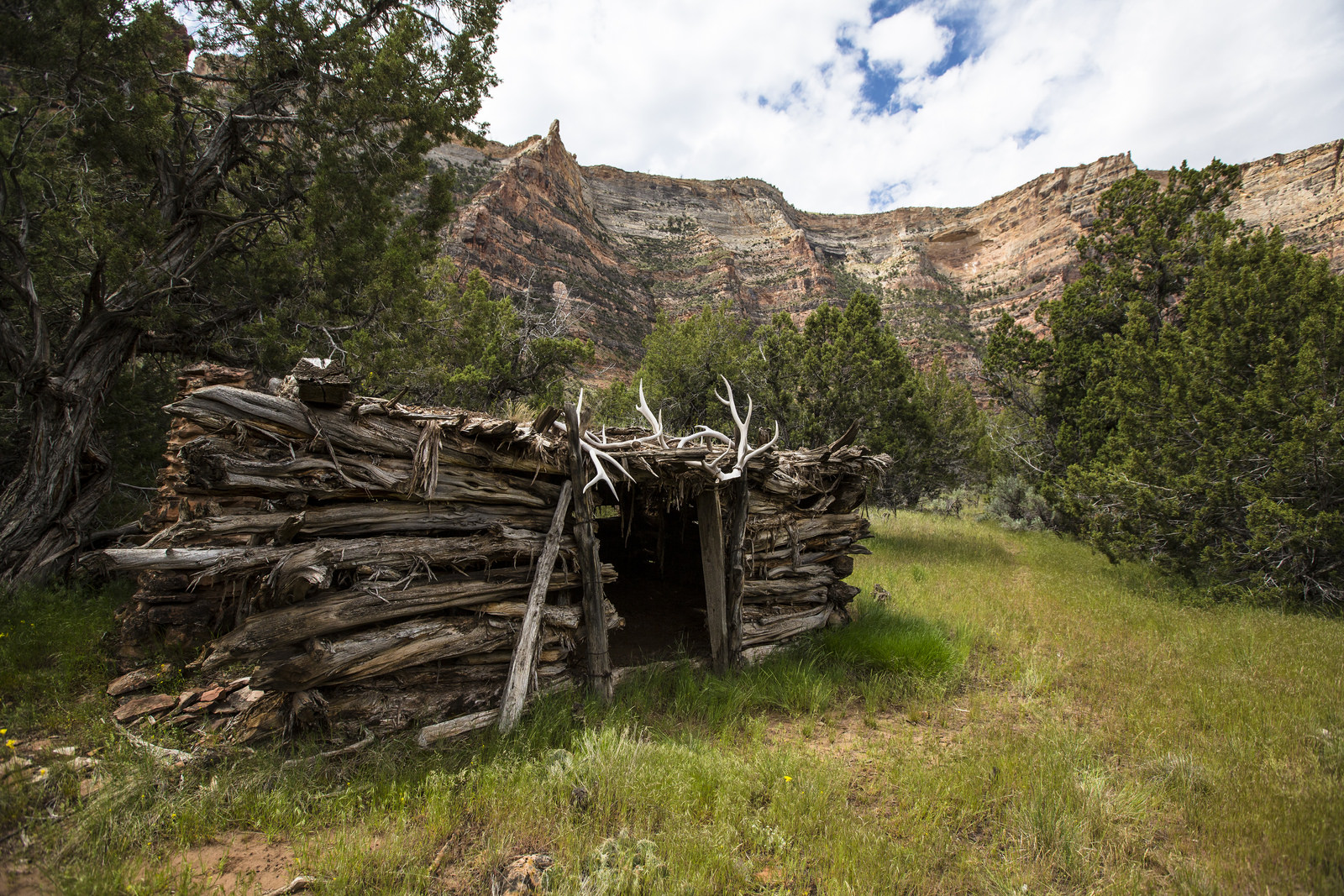Float the Yampa River through Dinosaur National Monument