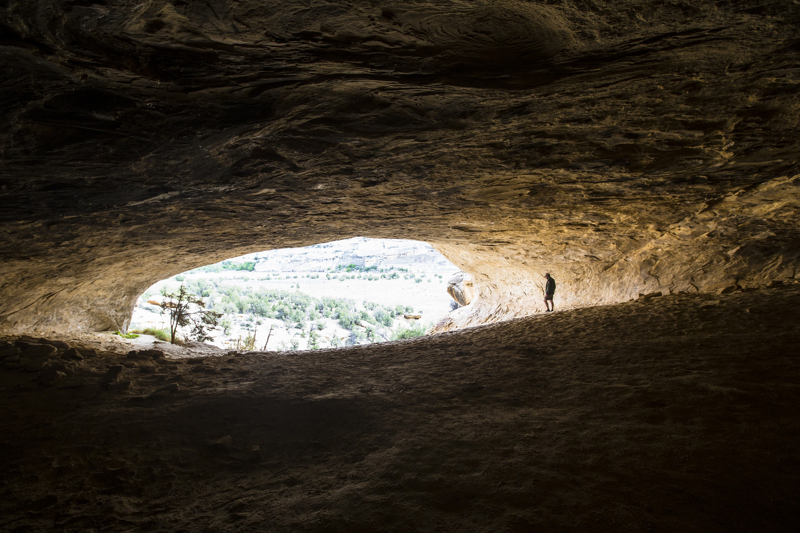 Float the Yampa River through Dinosaur National Monument