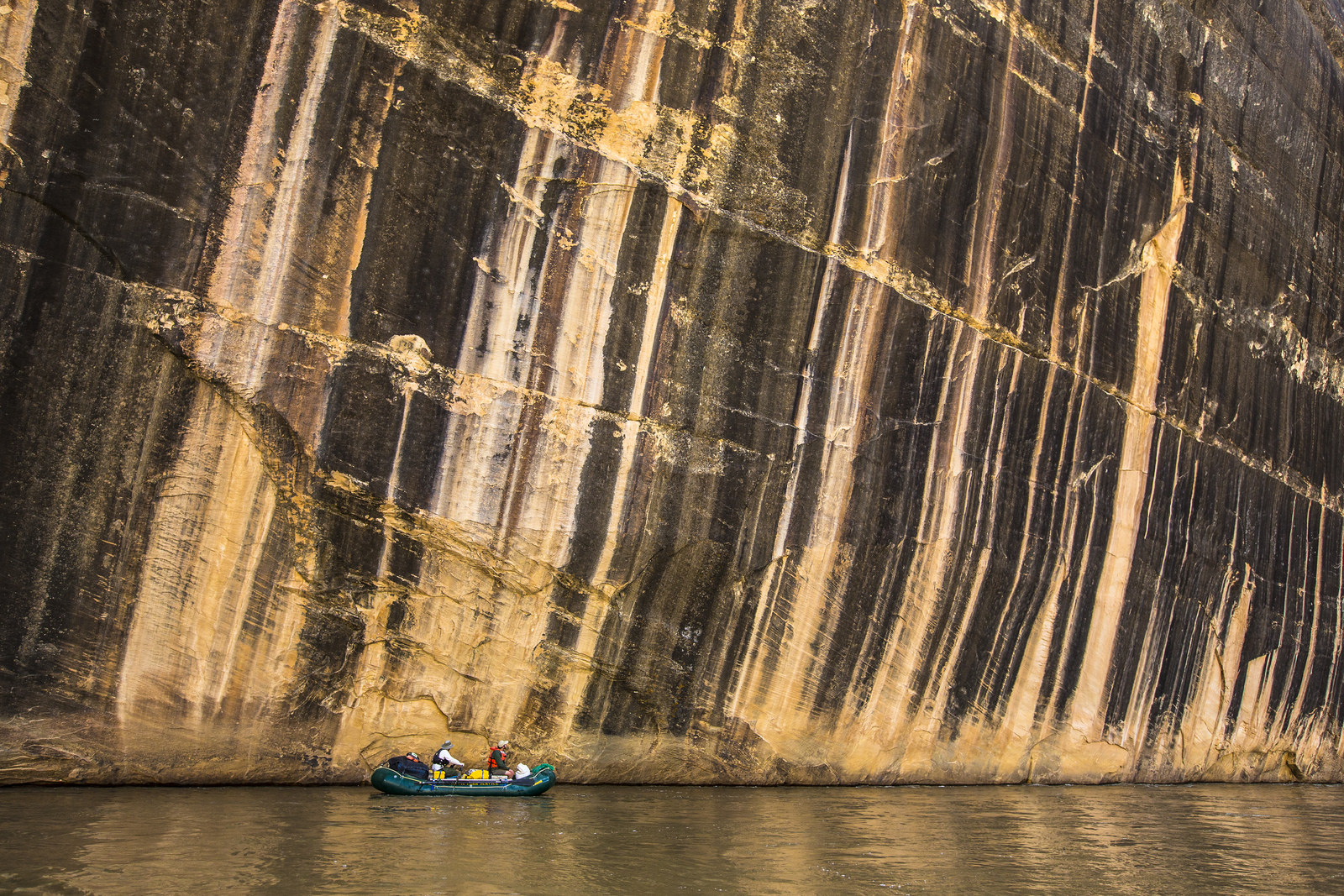 Float the Yampa River through Dinosaur National Monument