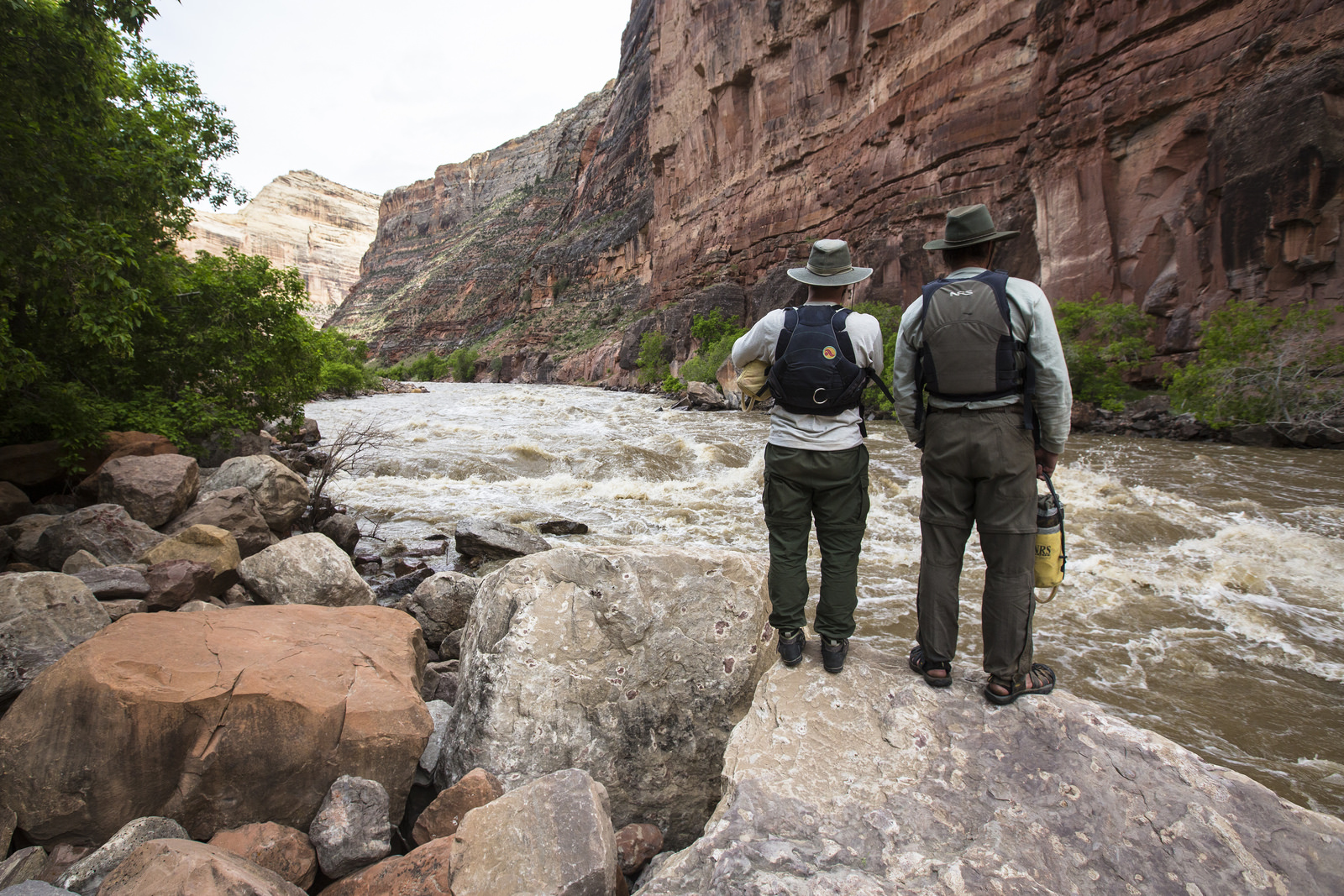 Float the Yampa River through Dinosaur National Monument