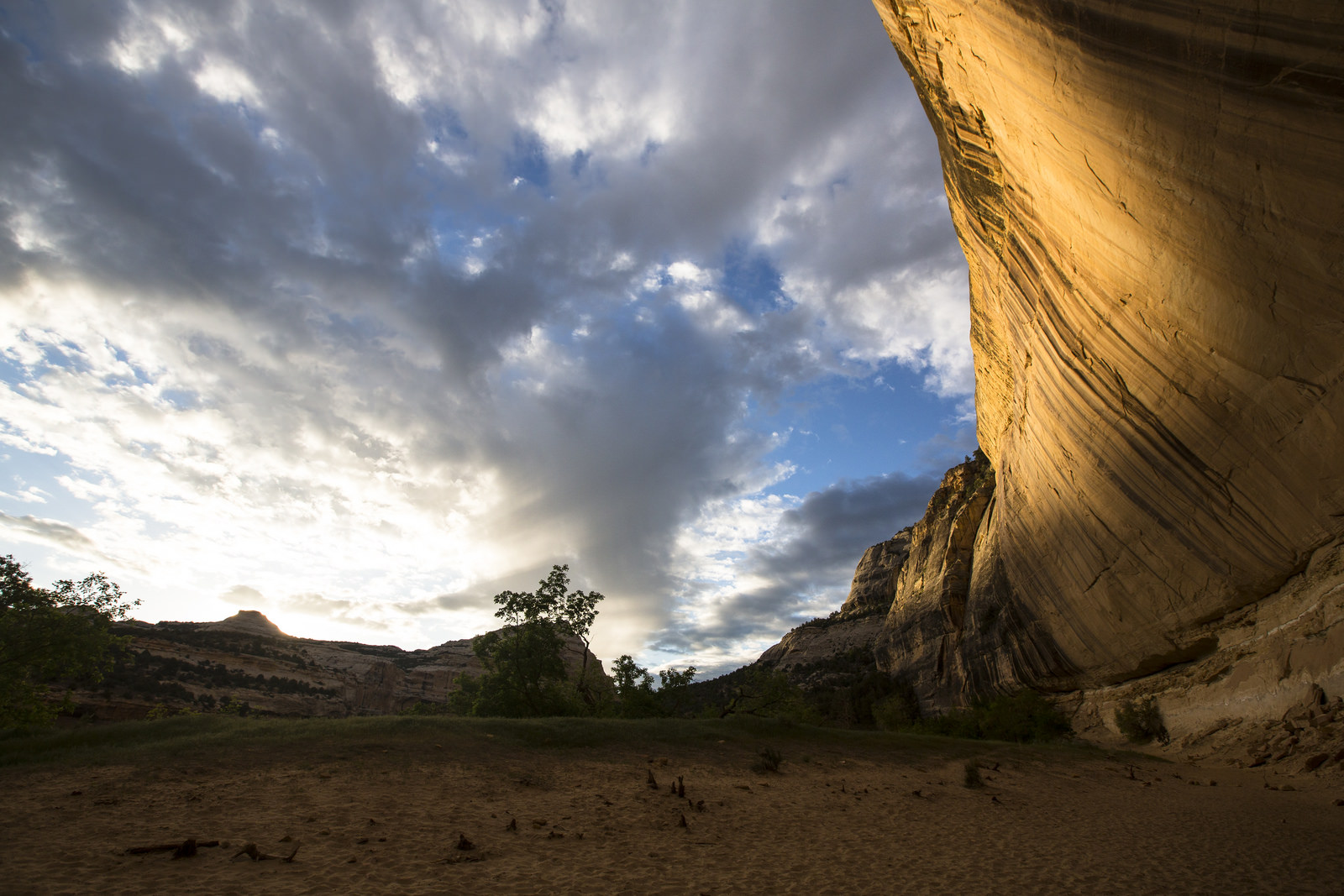 Float the Yampa River through Dinosaur National Monument