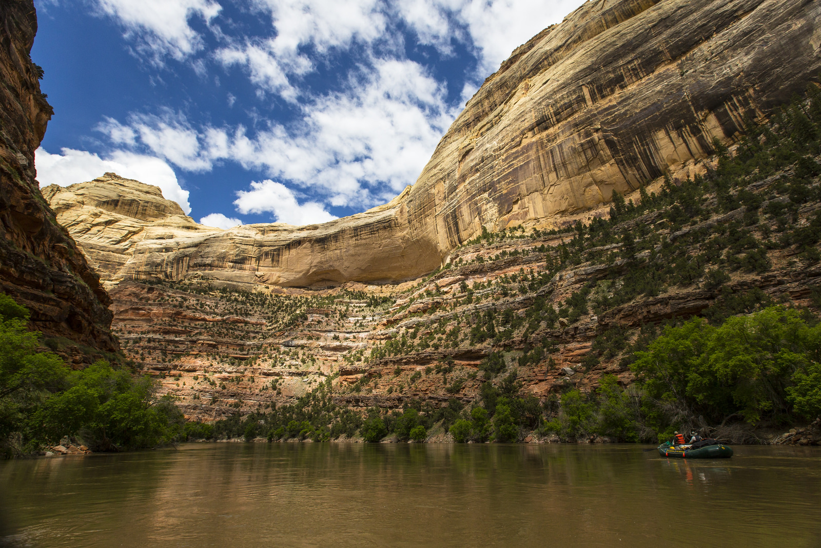 Float the Yampa River through Dinosaur National Monument