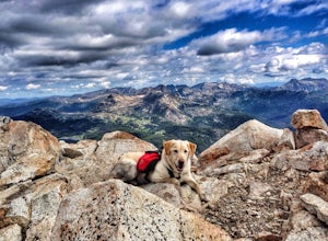 10 Tips For Having A Great Adventure With Your Dog 