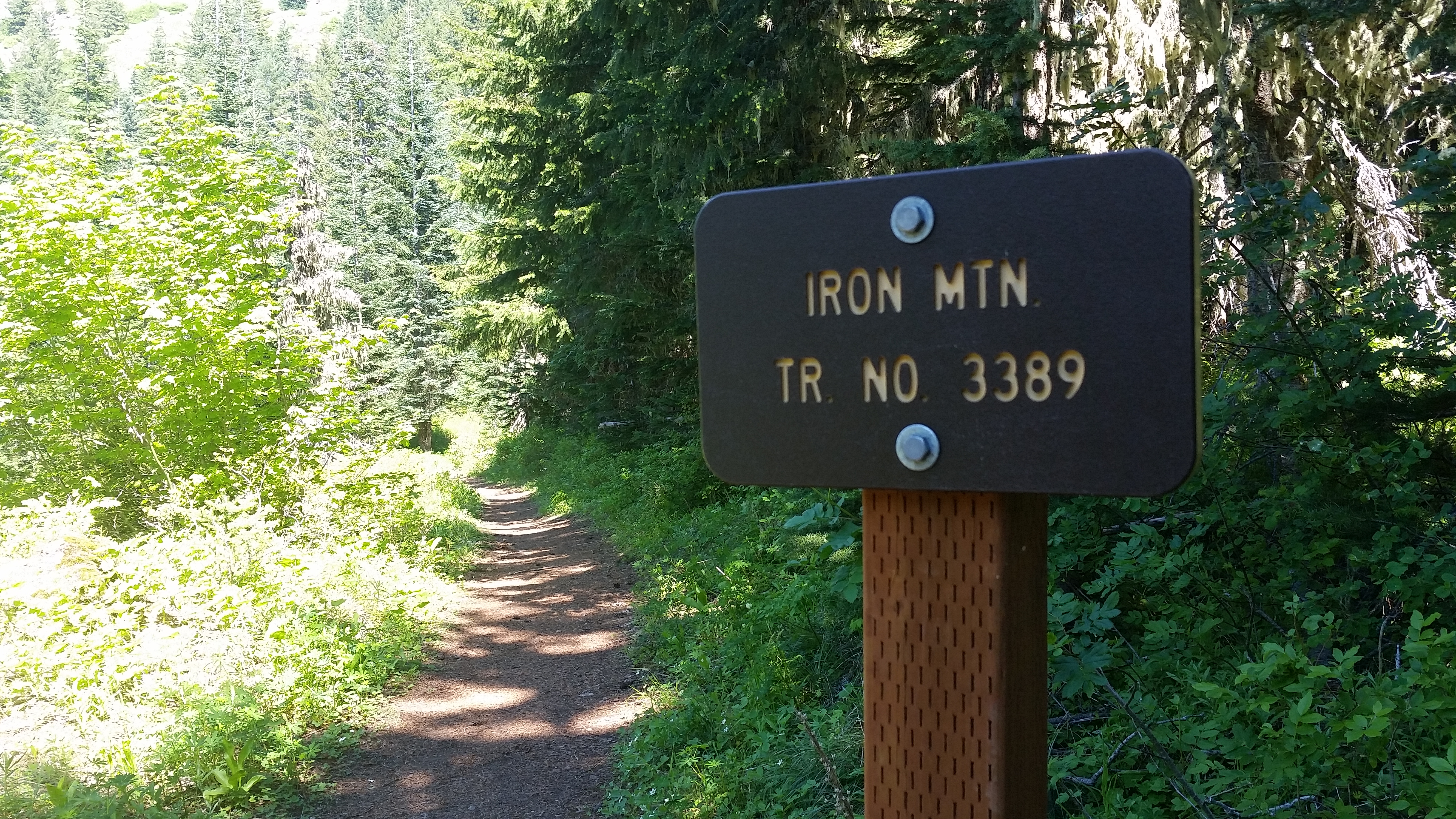Iron Mountain 