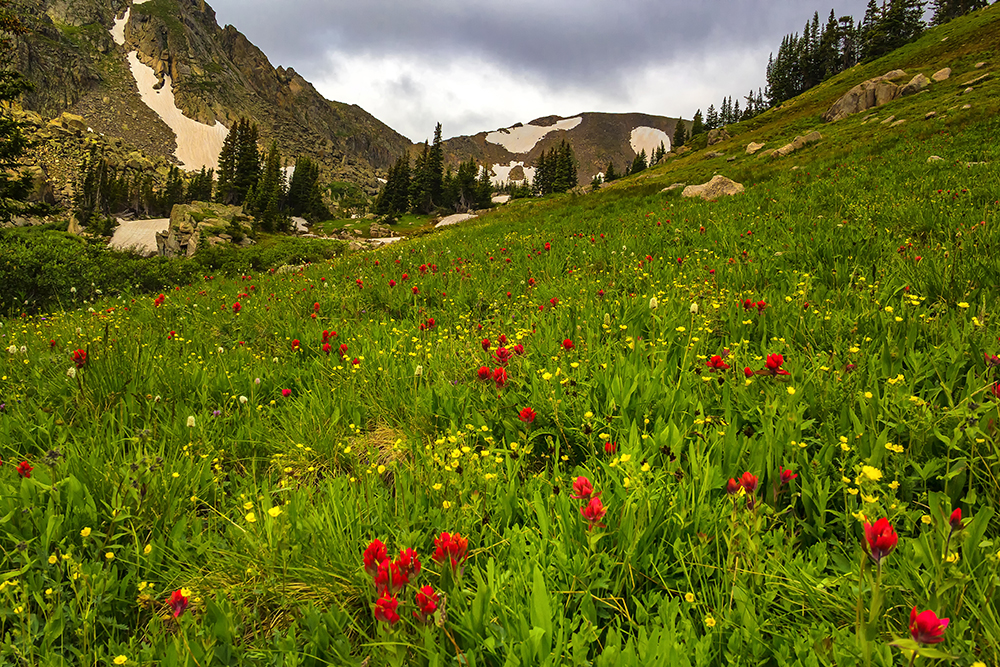 Camping at Brainard Lake