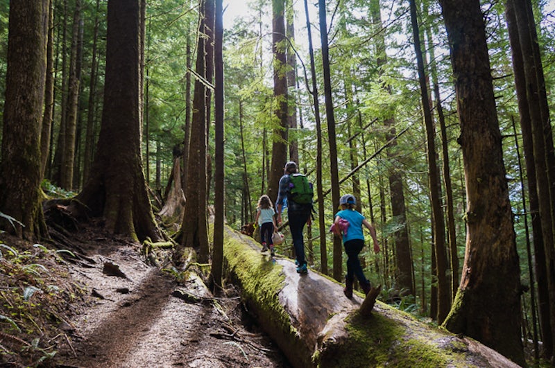 Photo of Neahkahnie Mountain Trail