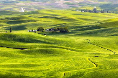 Explore Steptoe Butte, Steptoe Butte State Park