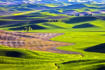 Explore Steptoe Butte, Steptoe Butte State Park