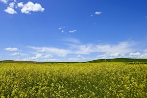 Explore Steptoe Butte