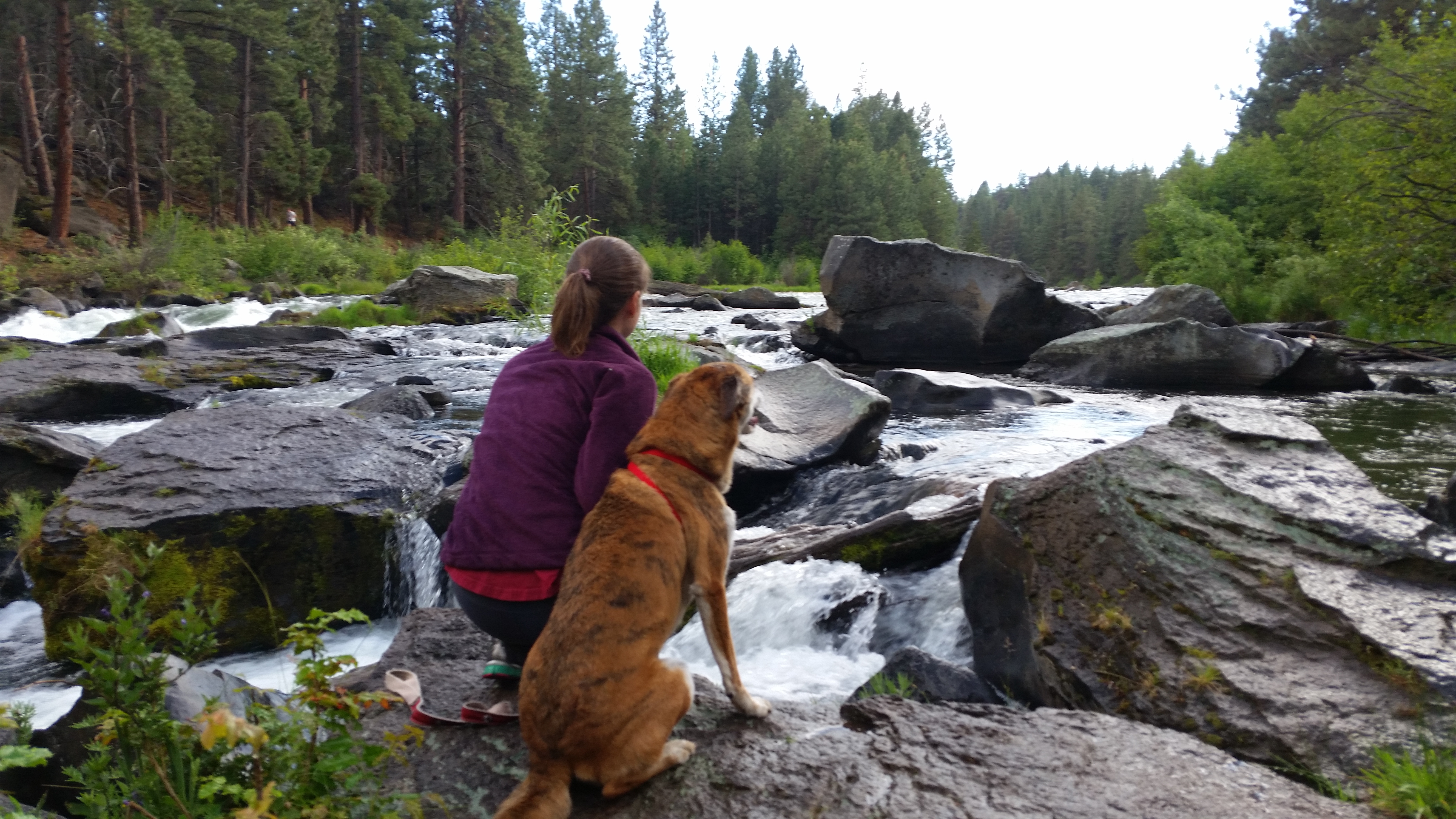Deschutes River Trail Loop