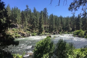 Deschutes River Trail Loop