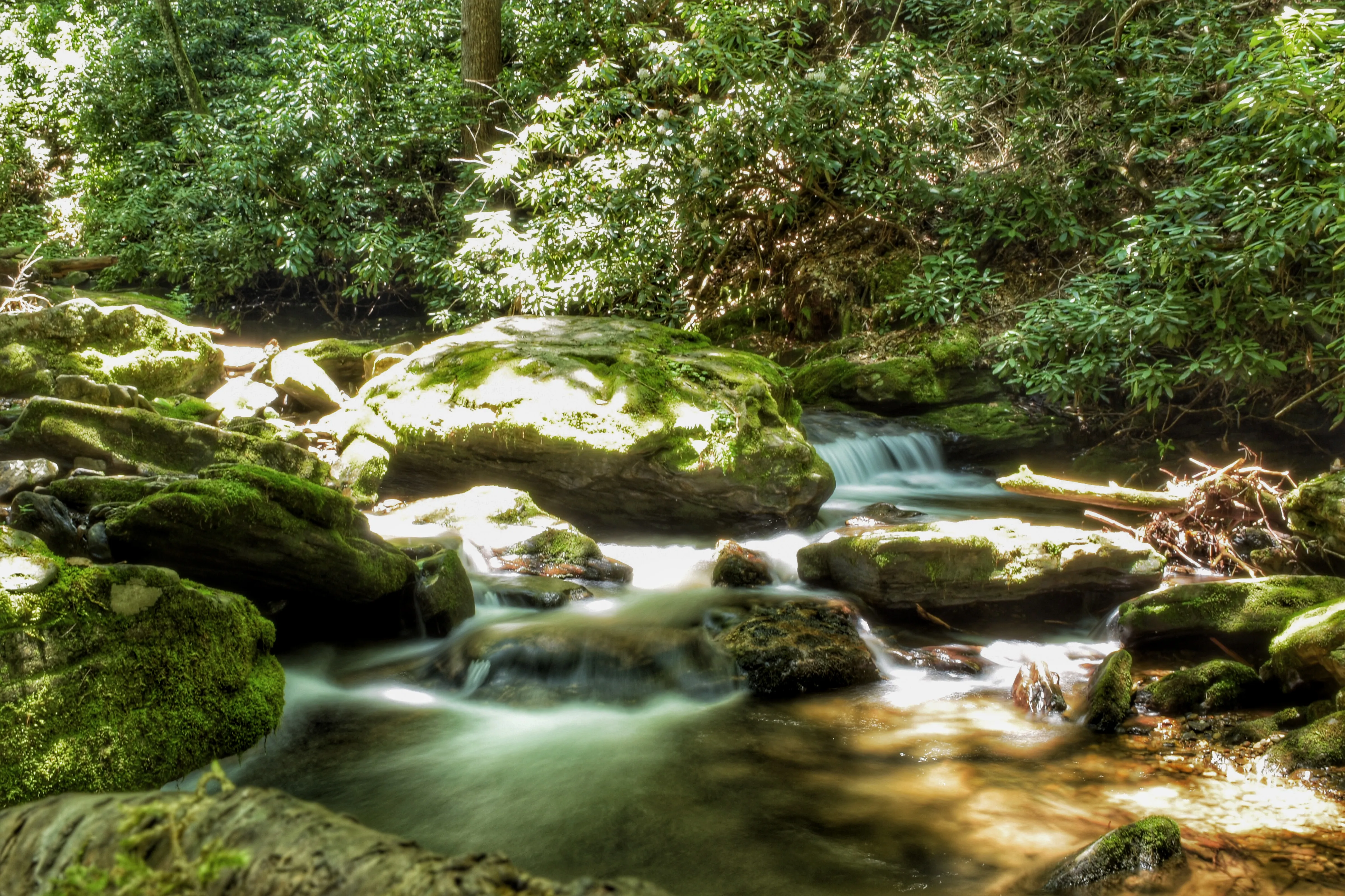 Blue Hole and High Shoals Creek Falls
