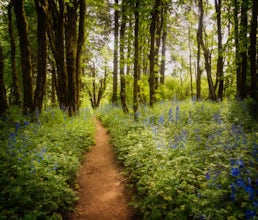 Hike the Cape Horn Trail
