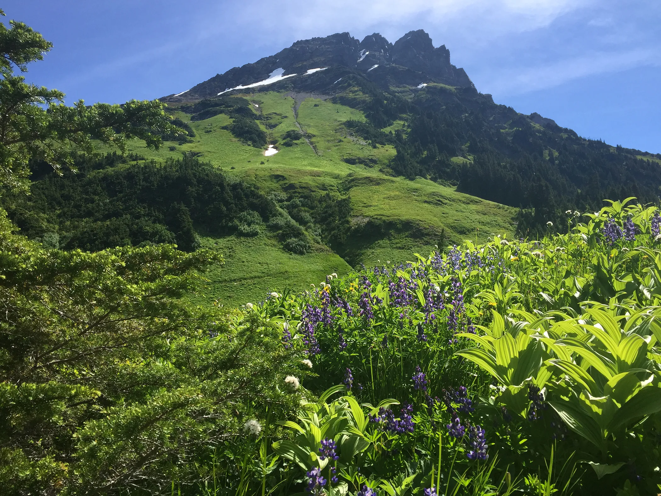 Hike Mount Cheam