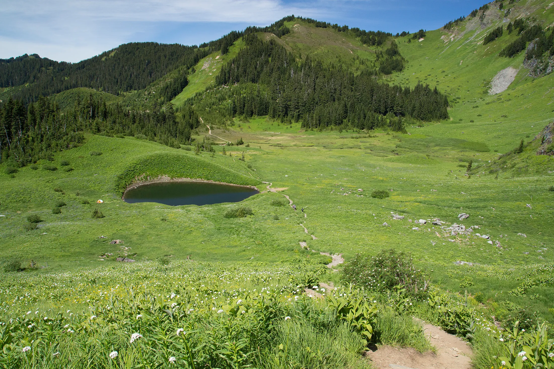 Hike Mount Cheam