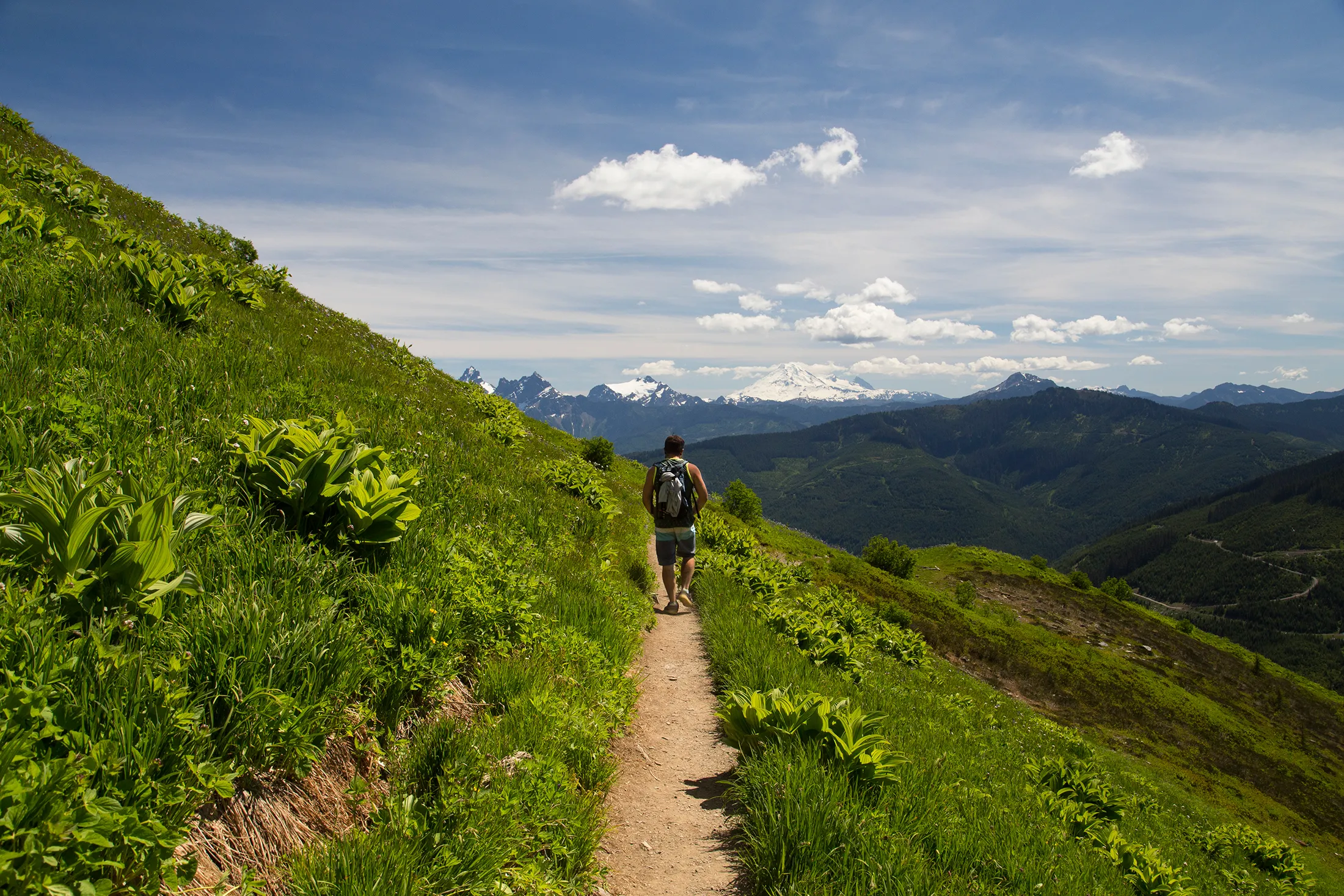 Hike Mount Cheam