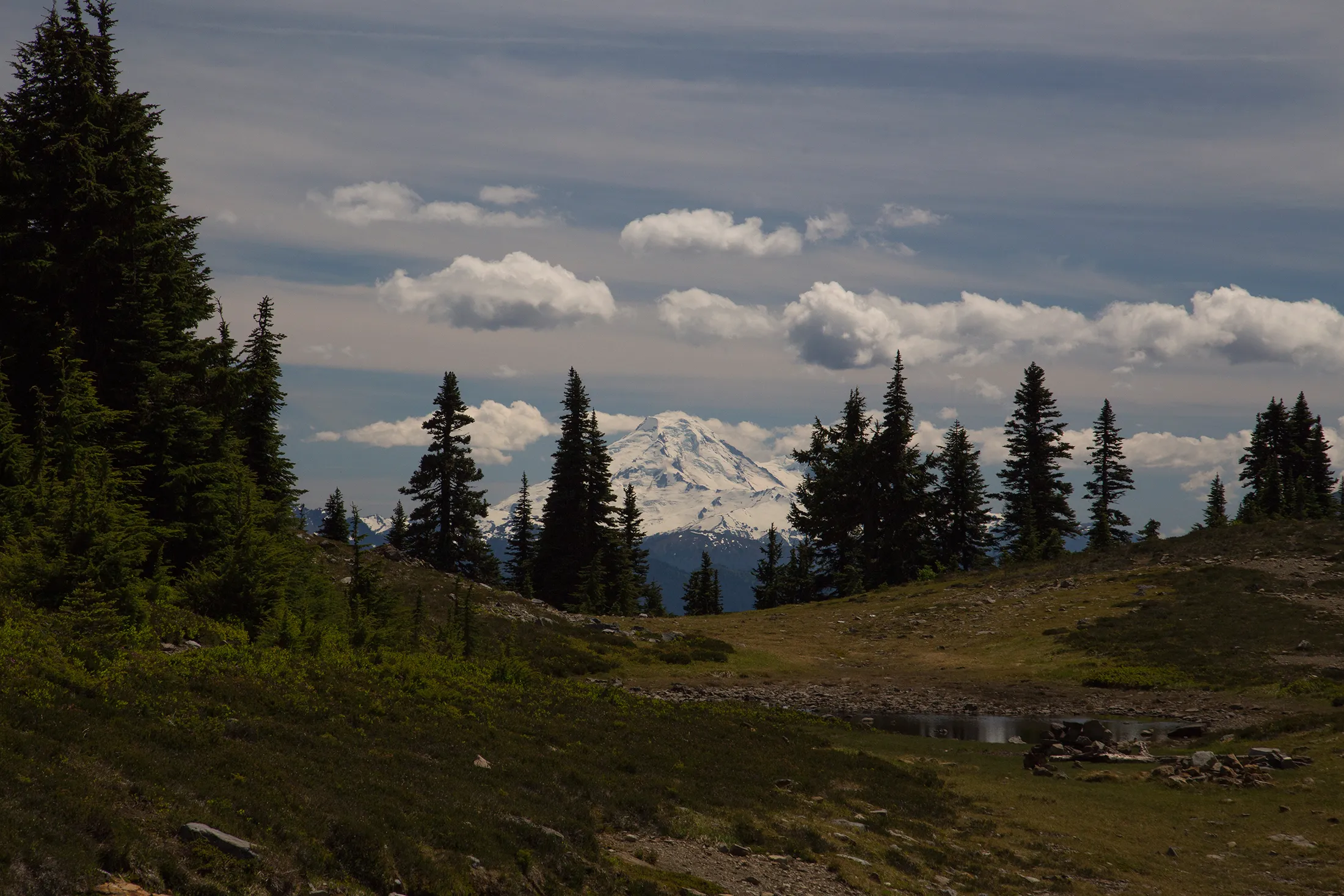 Hike Mount Cheam