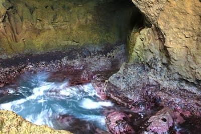 Explore La Cueva del Indio (Indian Cave)
