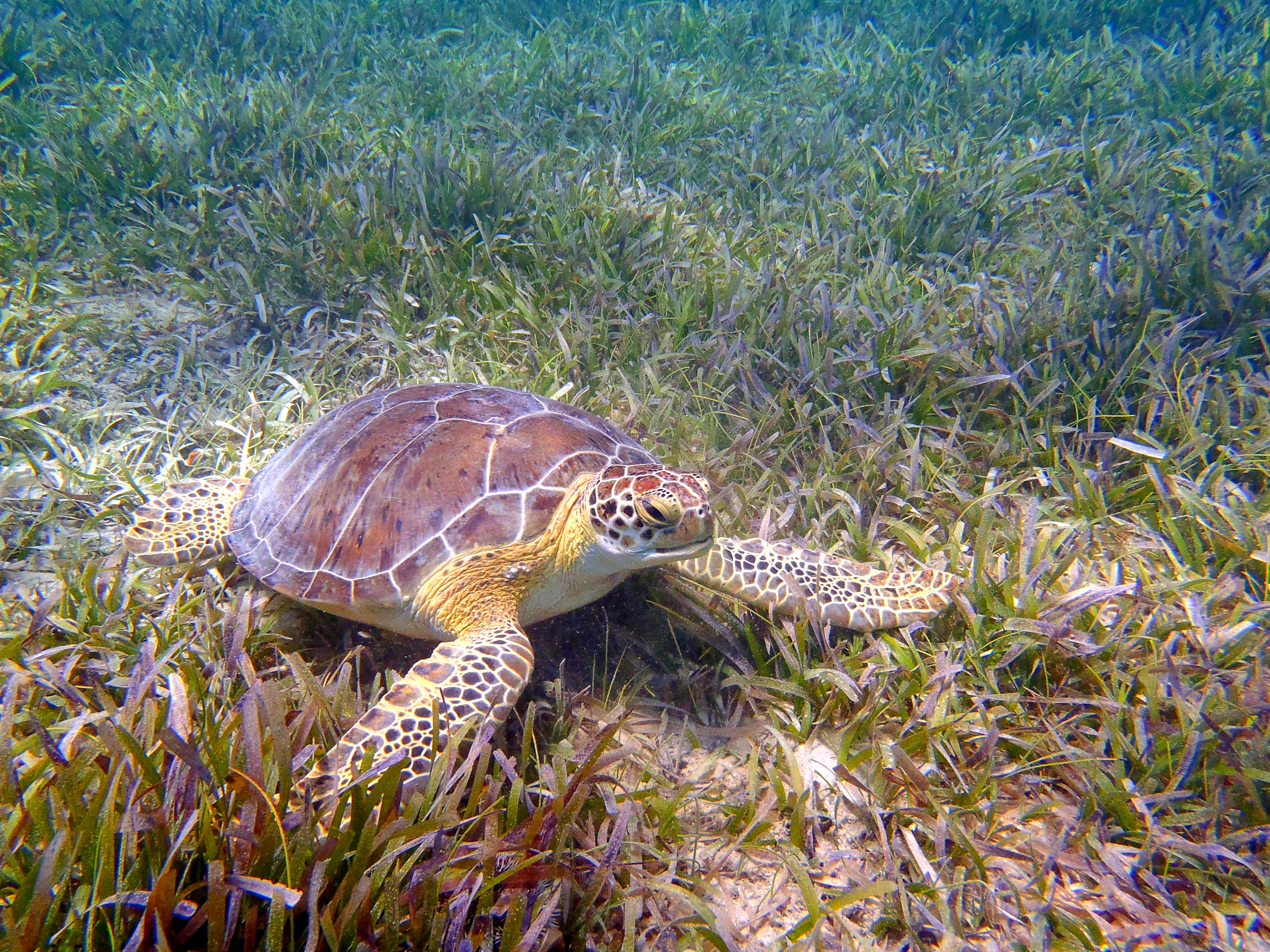 Explore Culebra Island