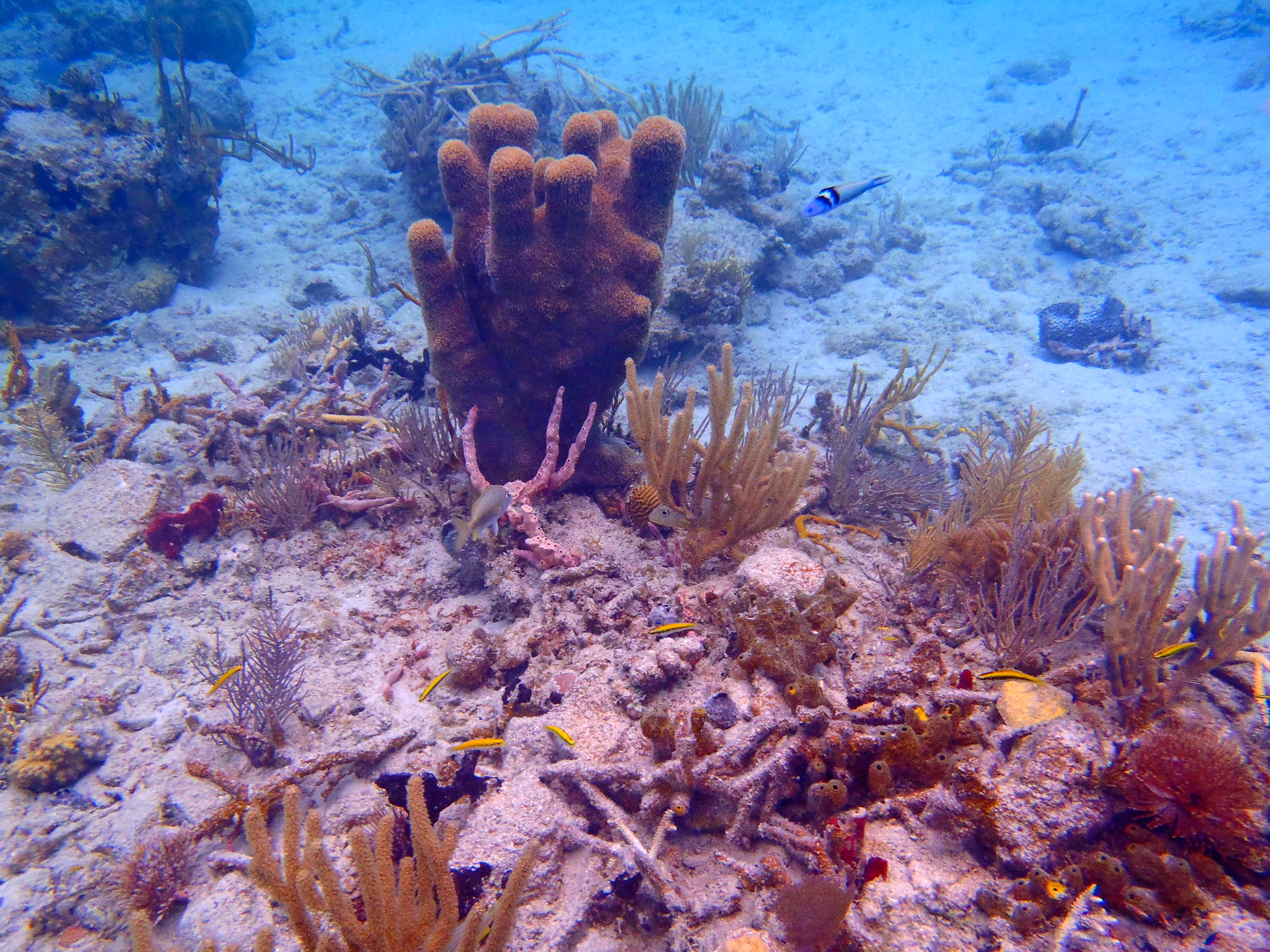 Explore Culebra Island