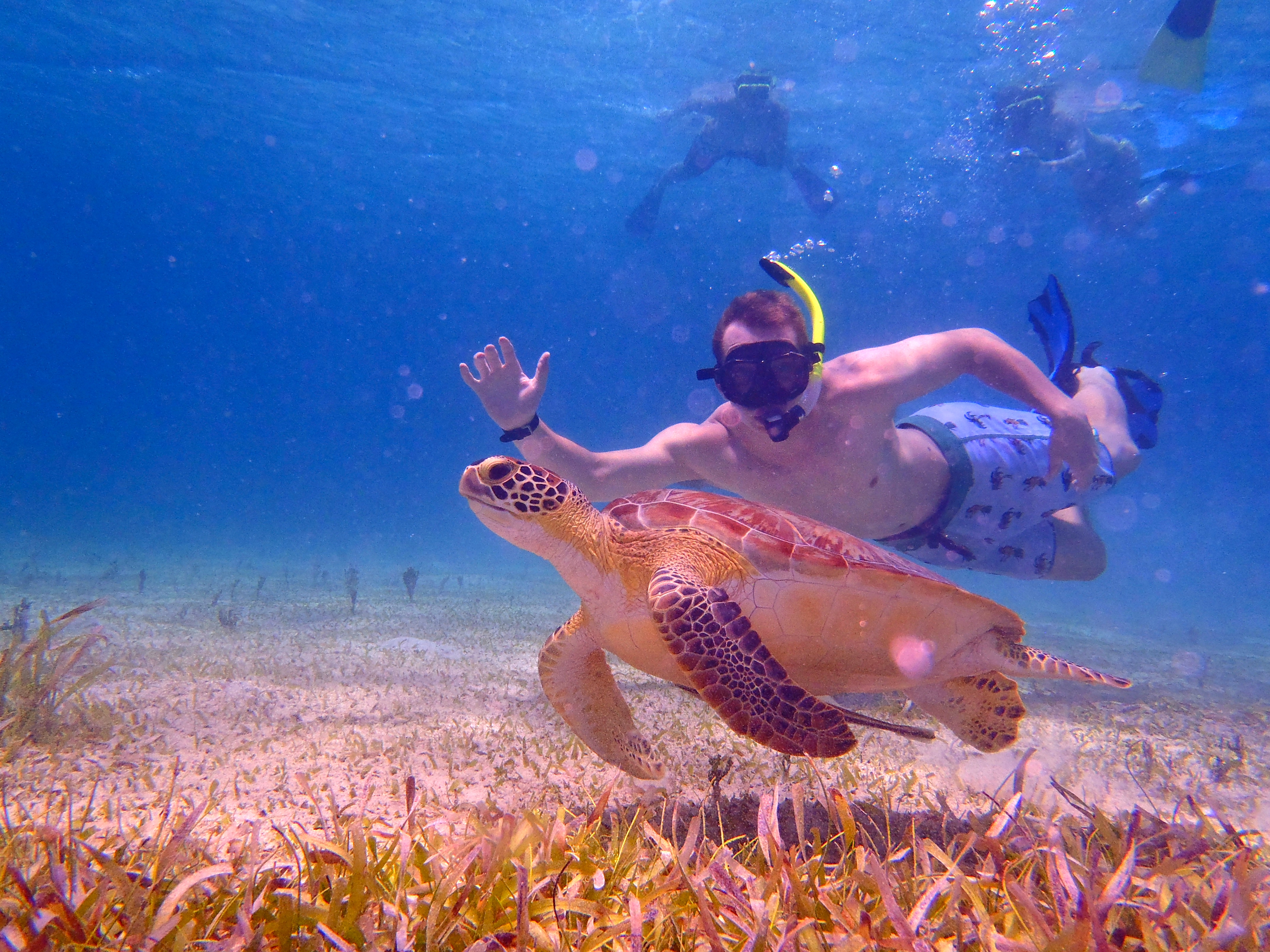 Explore Culebra Island