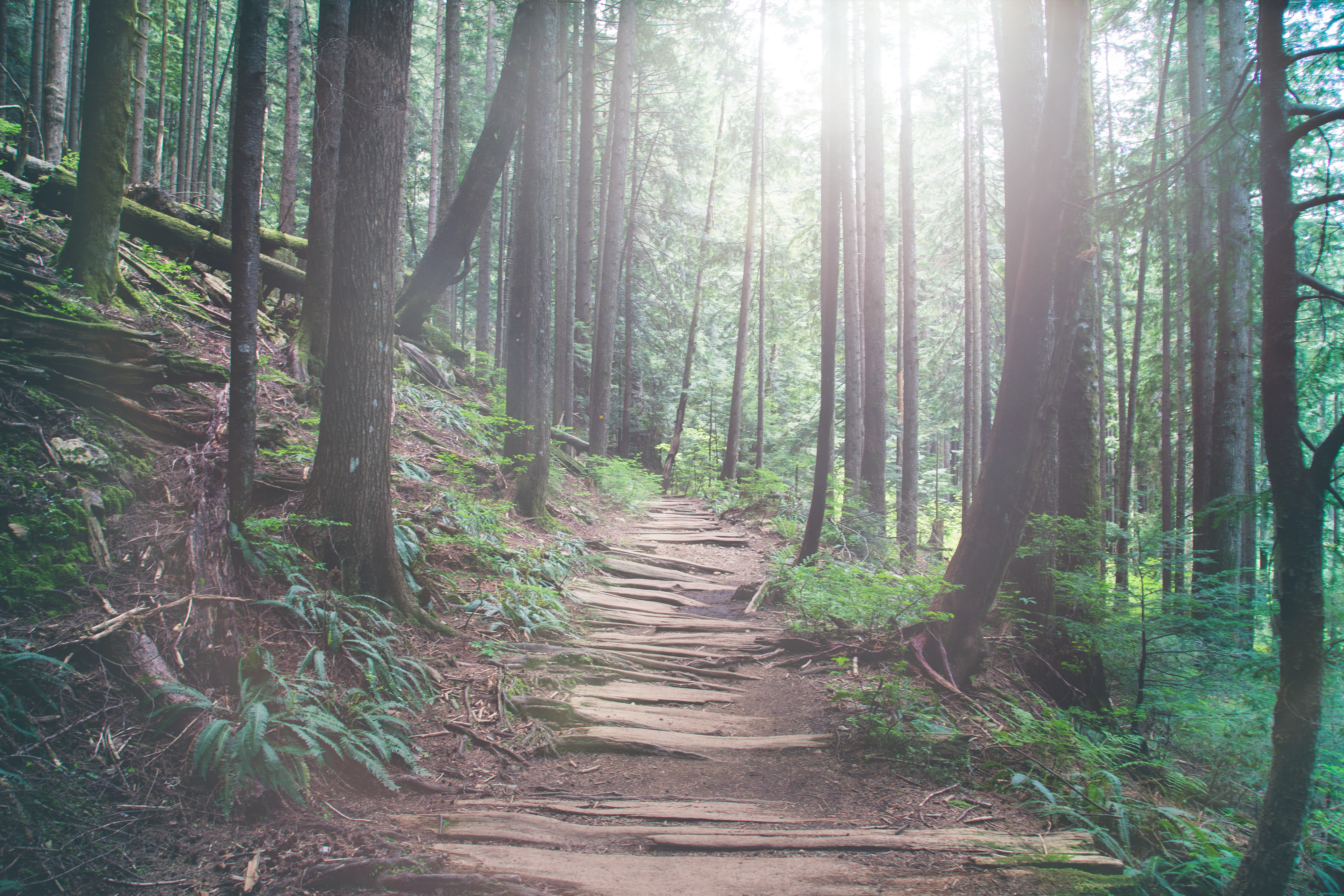 Hike to Norvan Falls